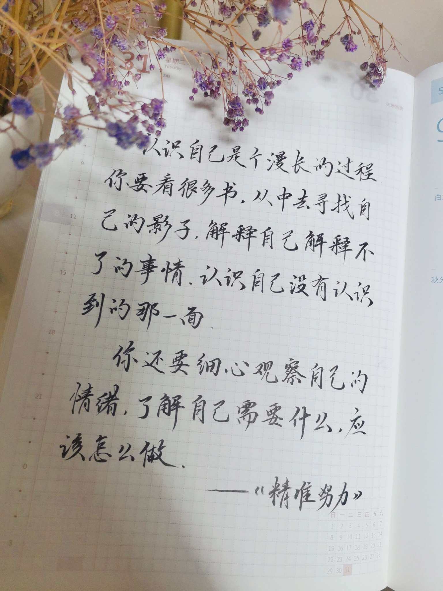 自在手帐2021年8月31日