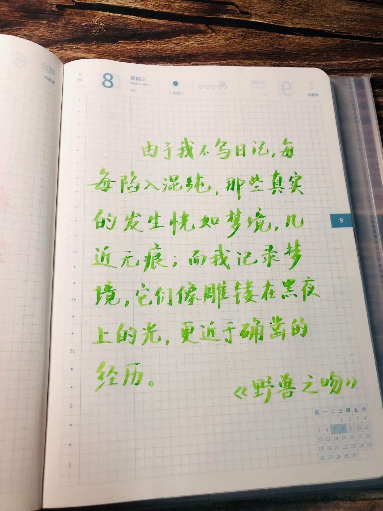 自在手帐2021年9月8日