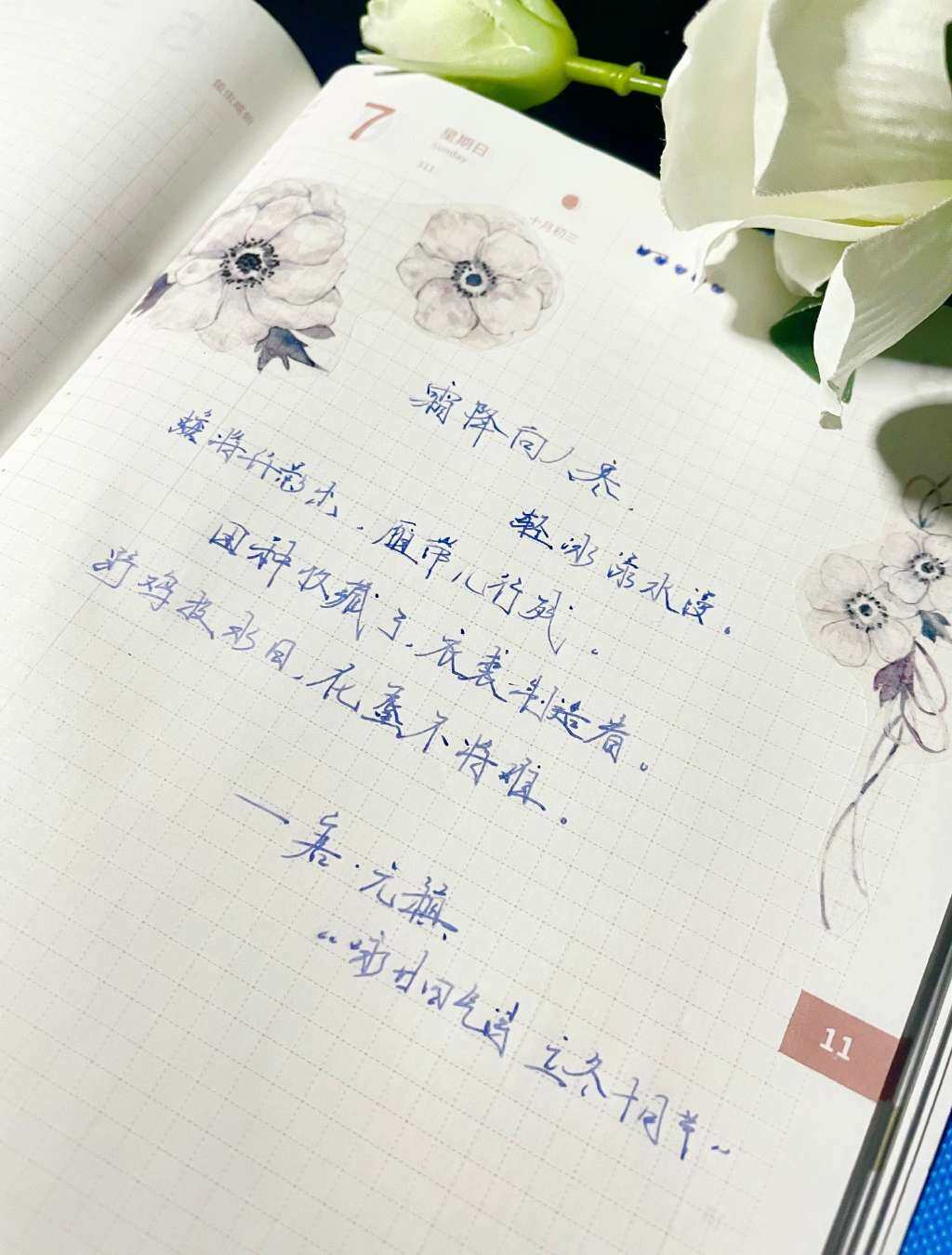 自在手帐2021年11月7日