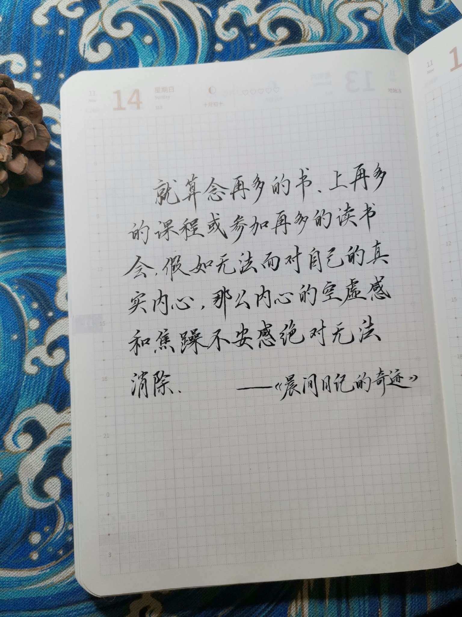 自在手帐2021年11月14日