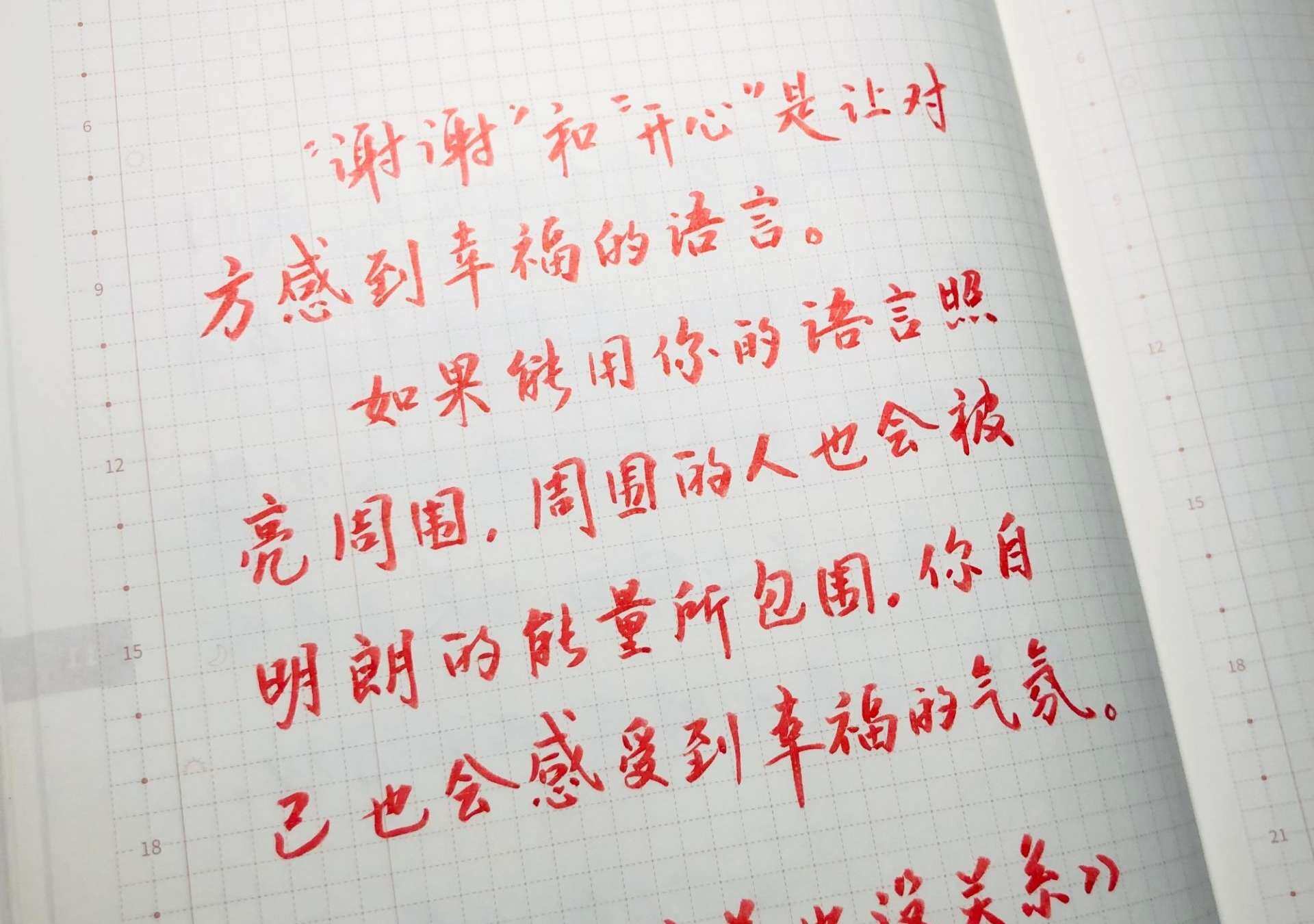 自在手帐2021年11月17日