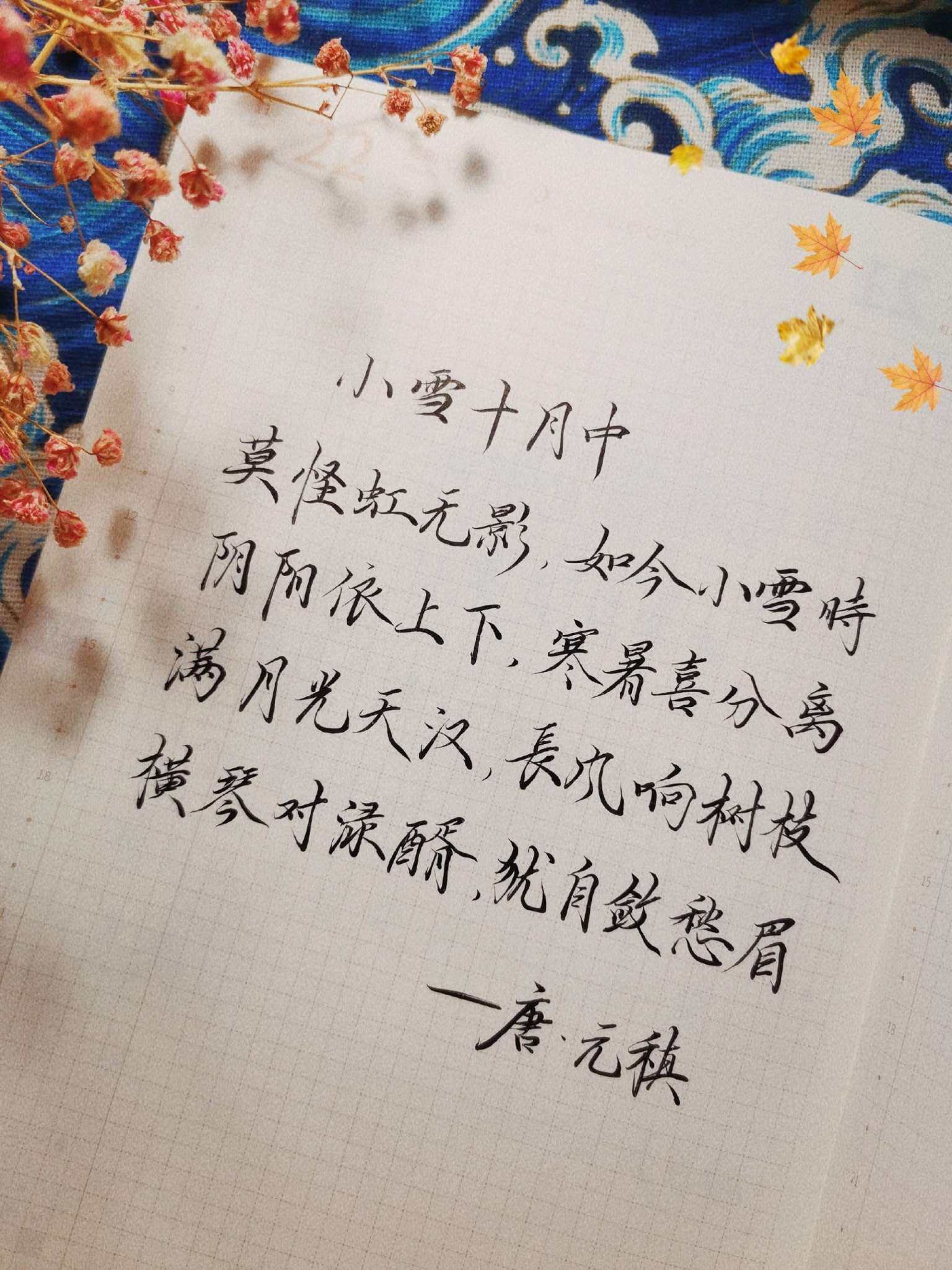自在手帐2021年11月22日