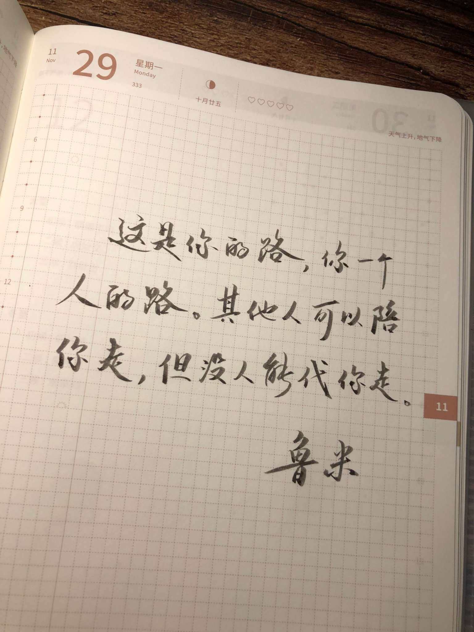 自在手帐2021年11月29日