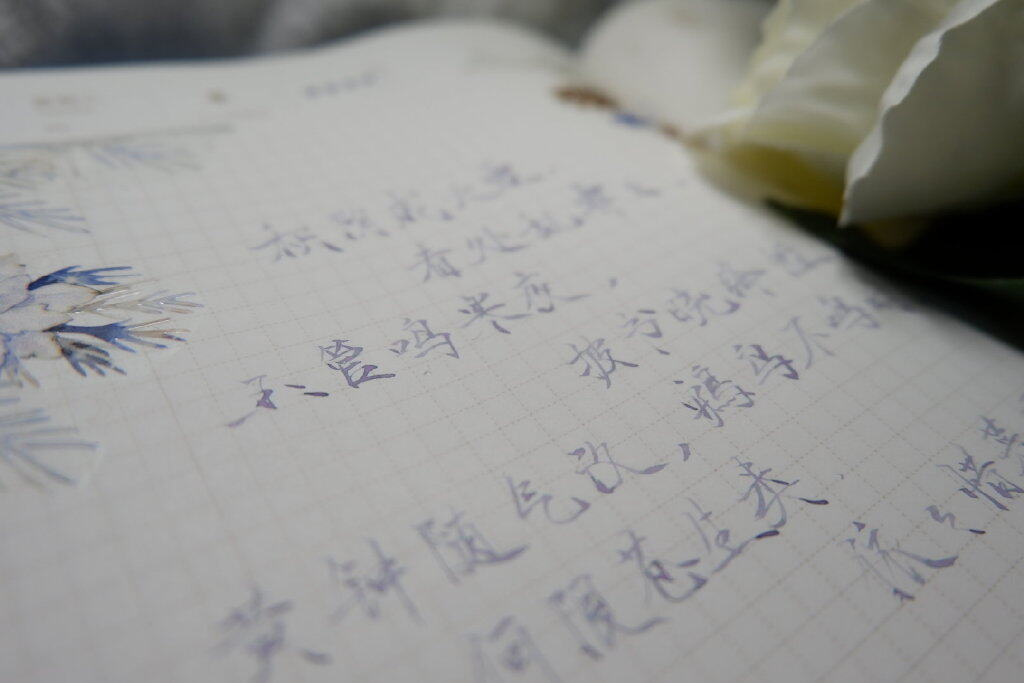 大雪|二十四节气|辛丑年