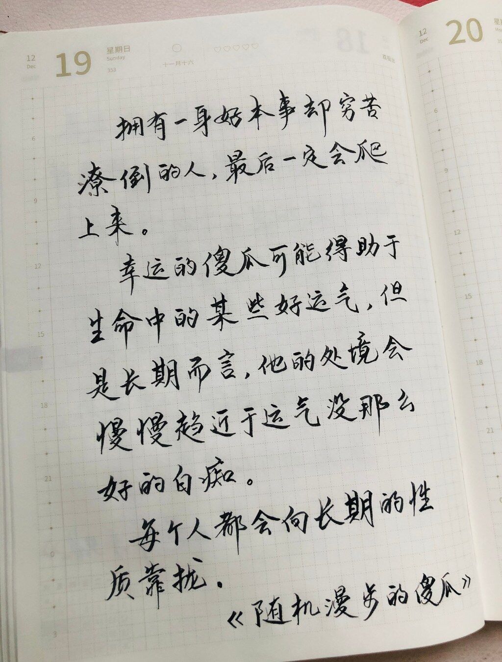 随机漫步的傻瓜