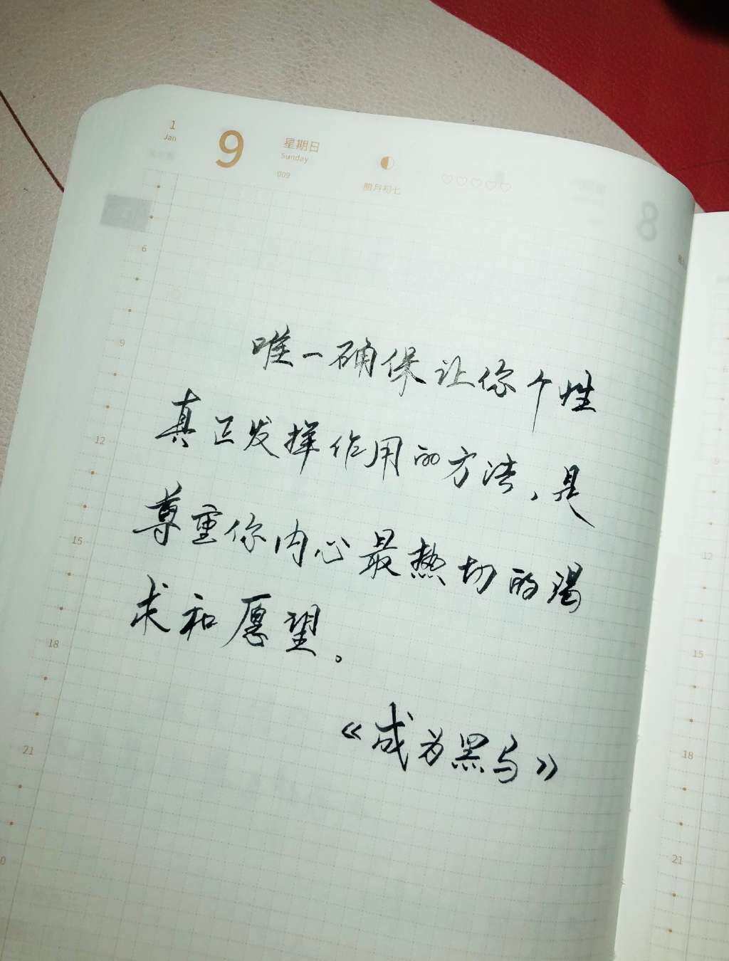 自在手帐2022年1月9日