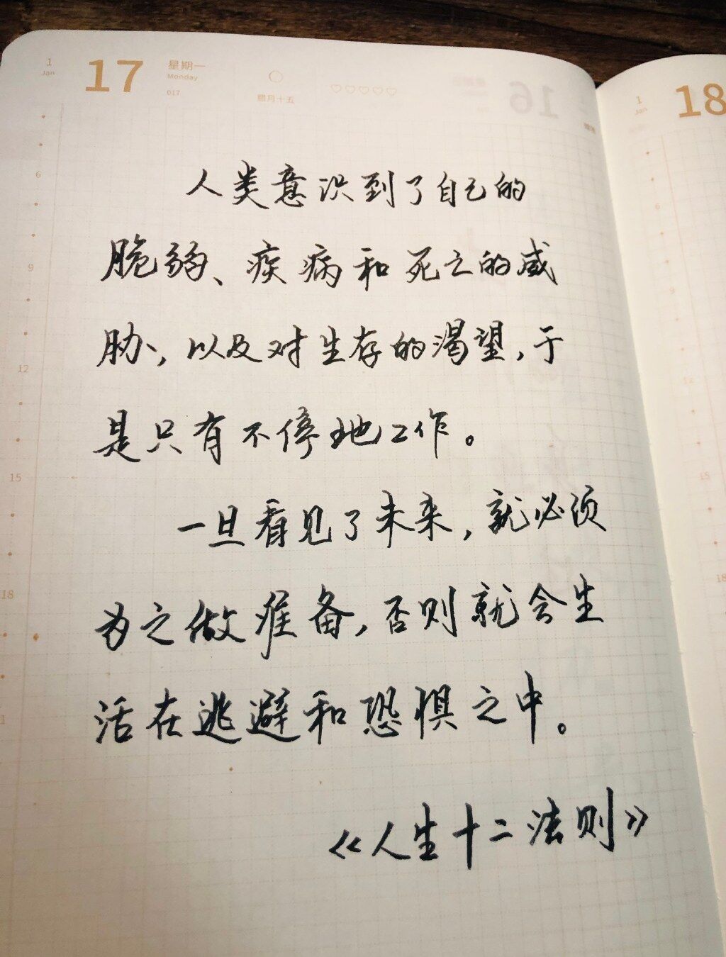 自在手帐2022年1月17日