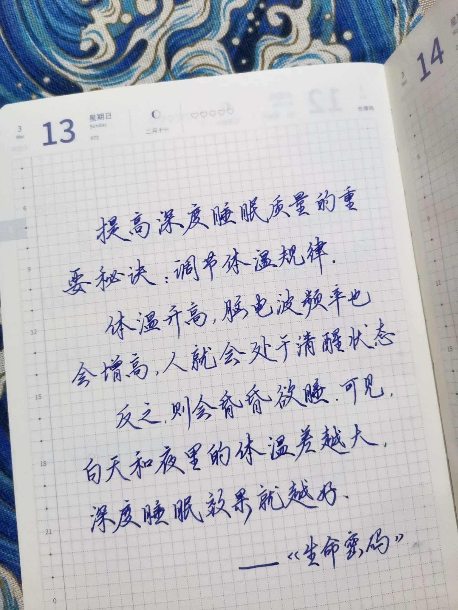 自在手帐2022年3月13日
