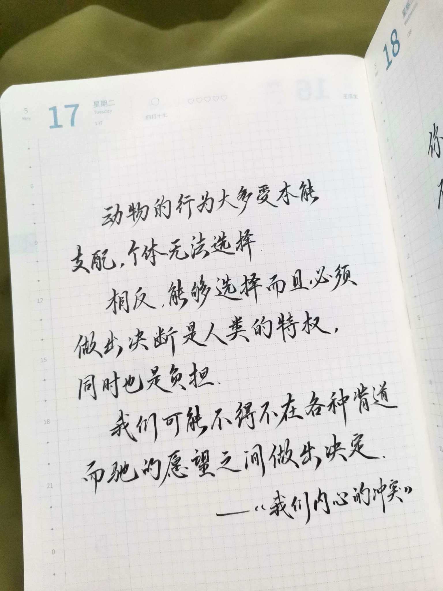 自在手帐2022年5月17日