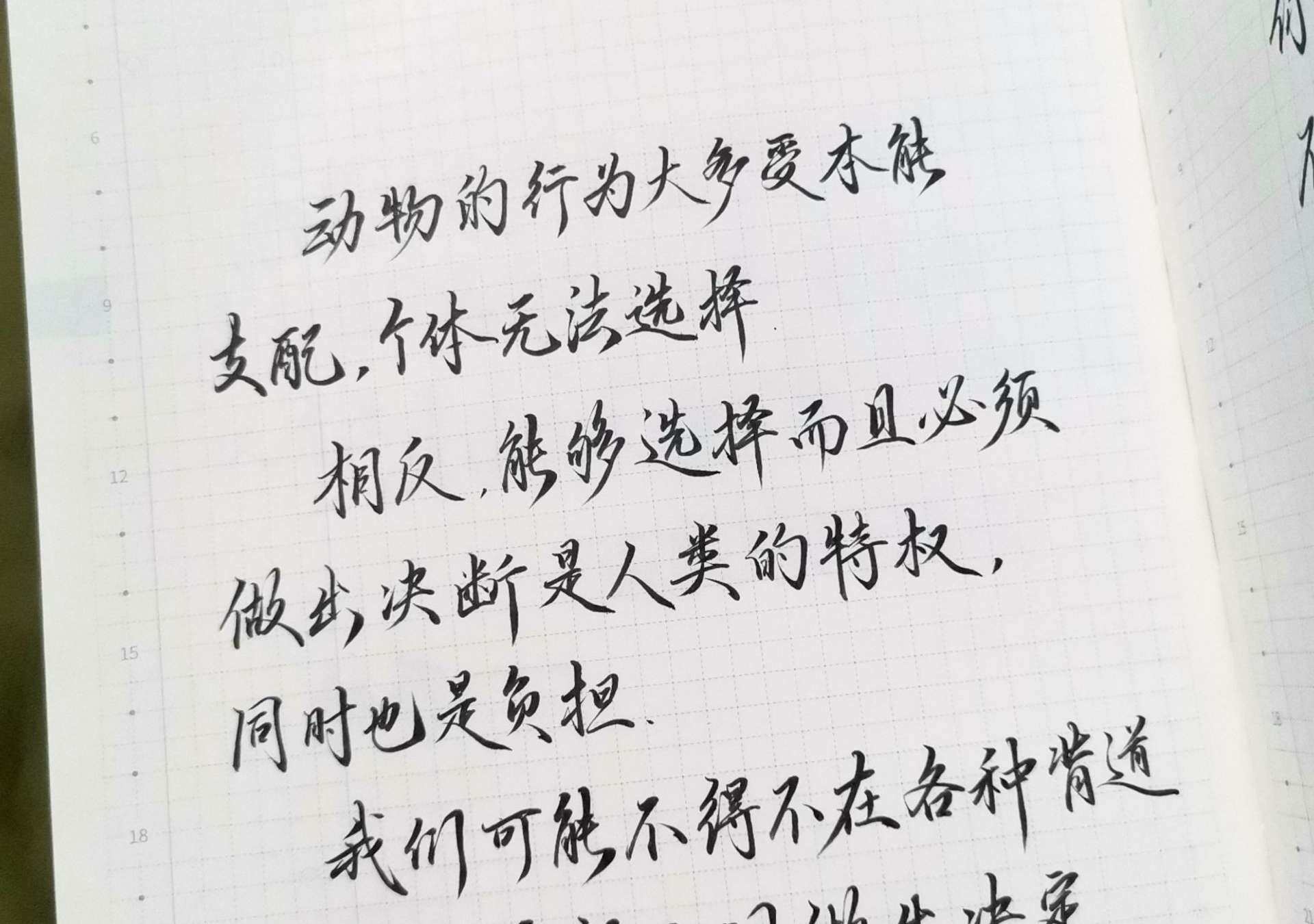 自在手帐2022年5月17日