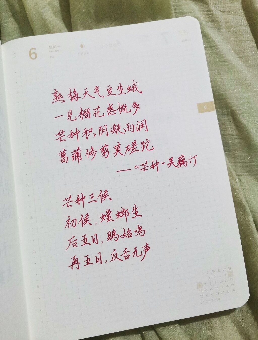 芒种|二十四节气|壬寅年