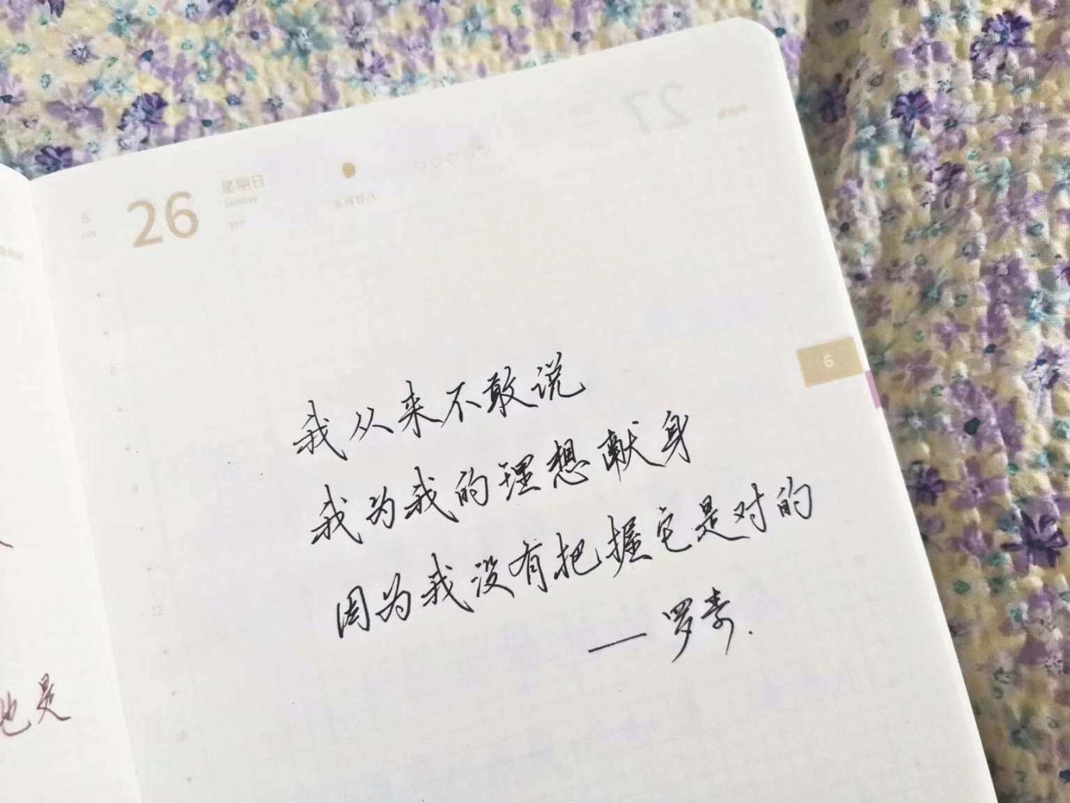 自在手帐2022年6月26日