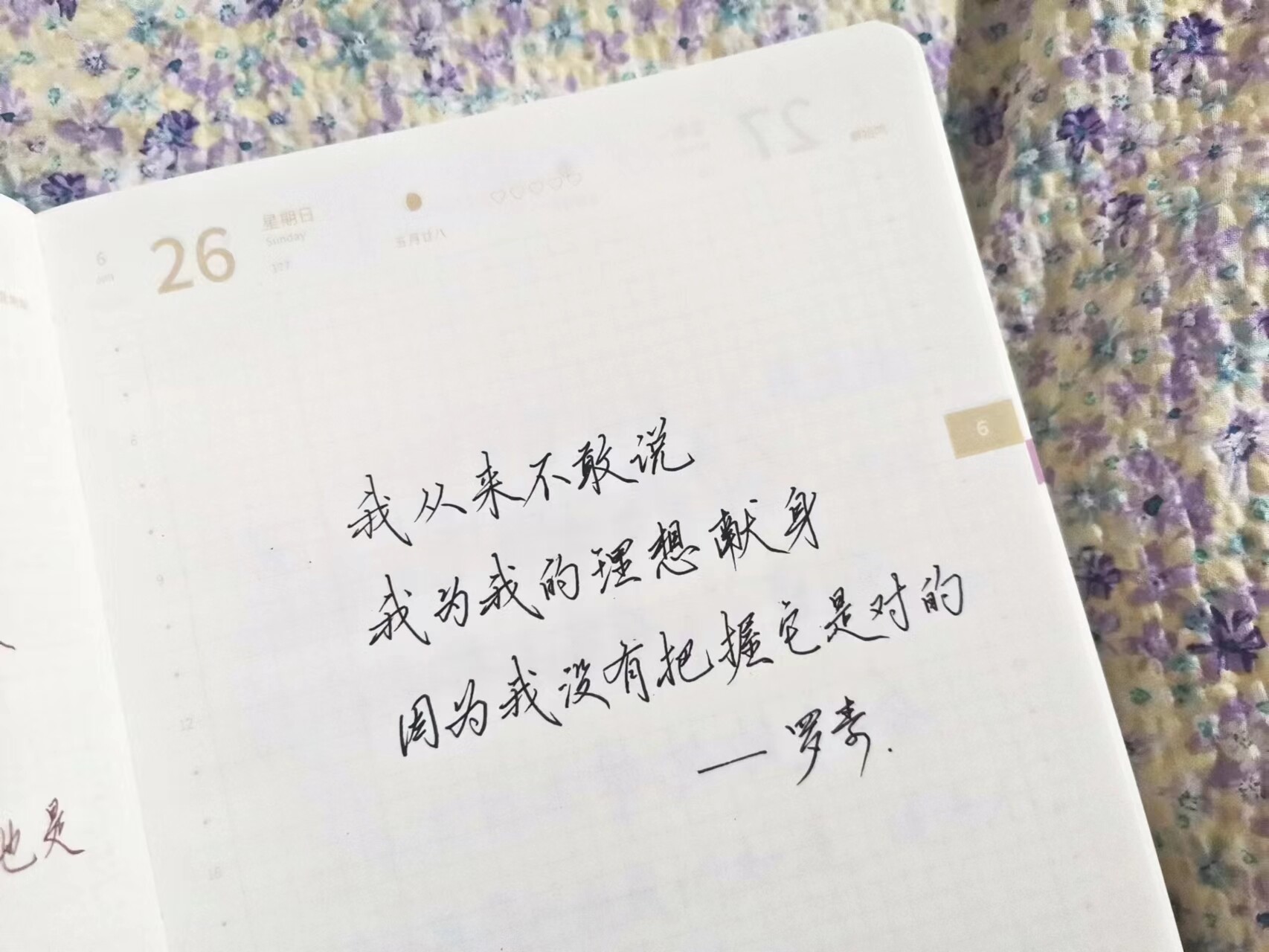 我为我的理想献身