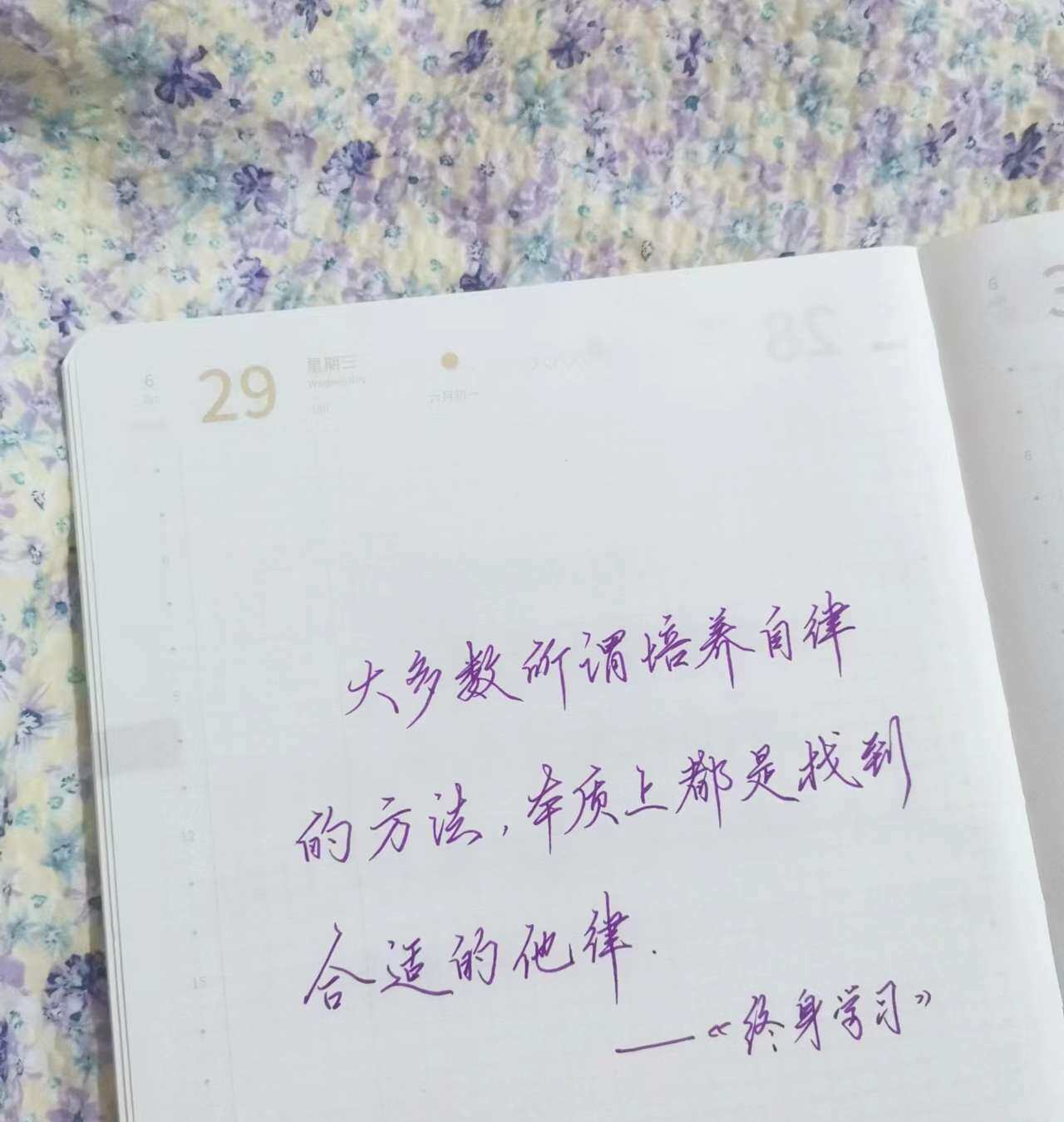 找到合适的他律