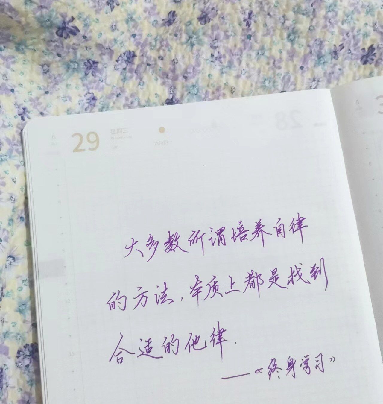 找到合适的他律