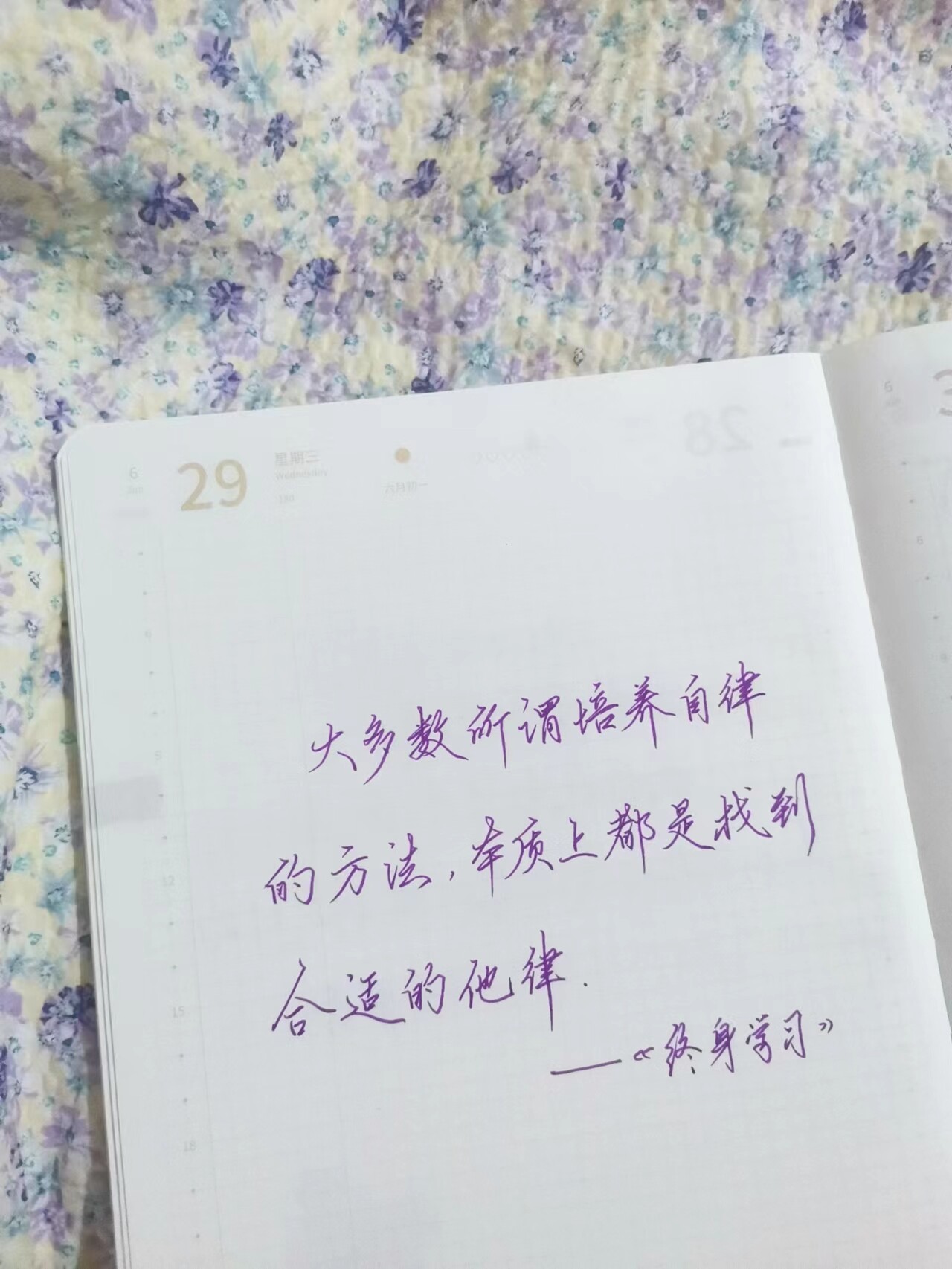 自在手帐2022年6月29日