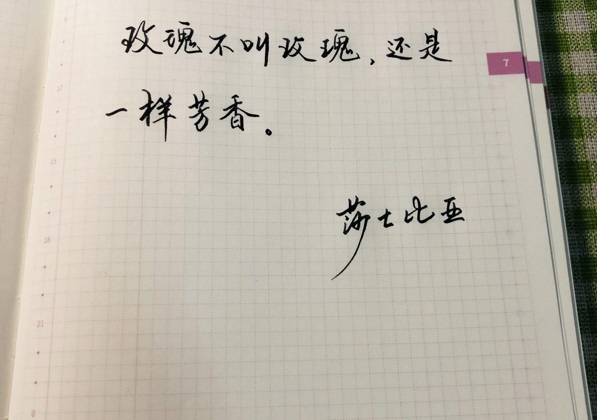 自在手帐2022年7月6日