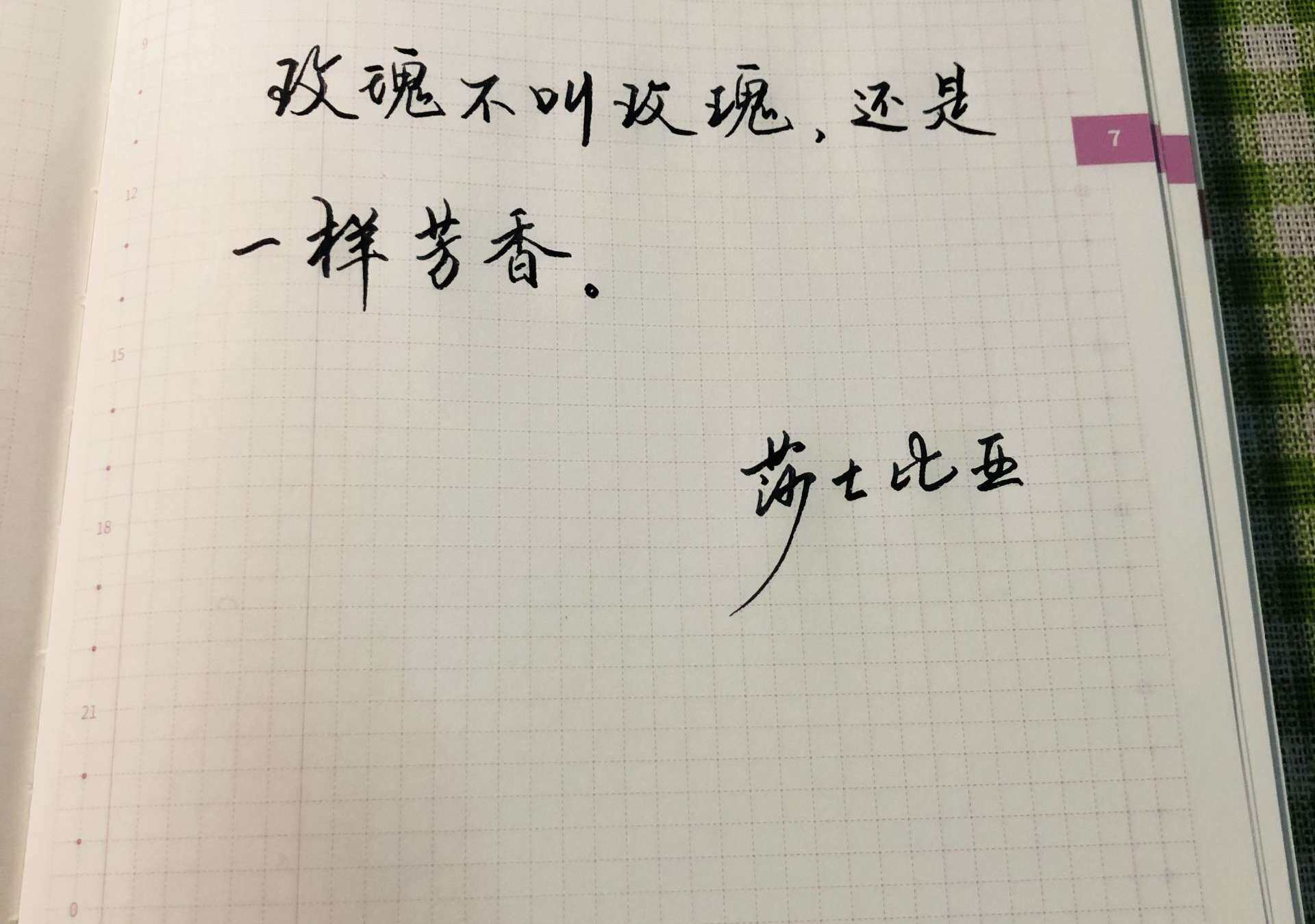 自在手帐2022年7月6日