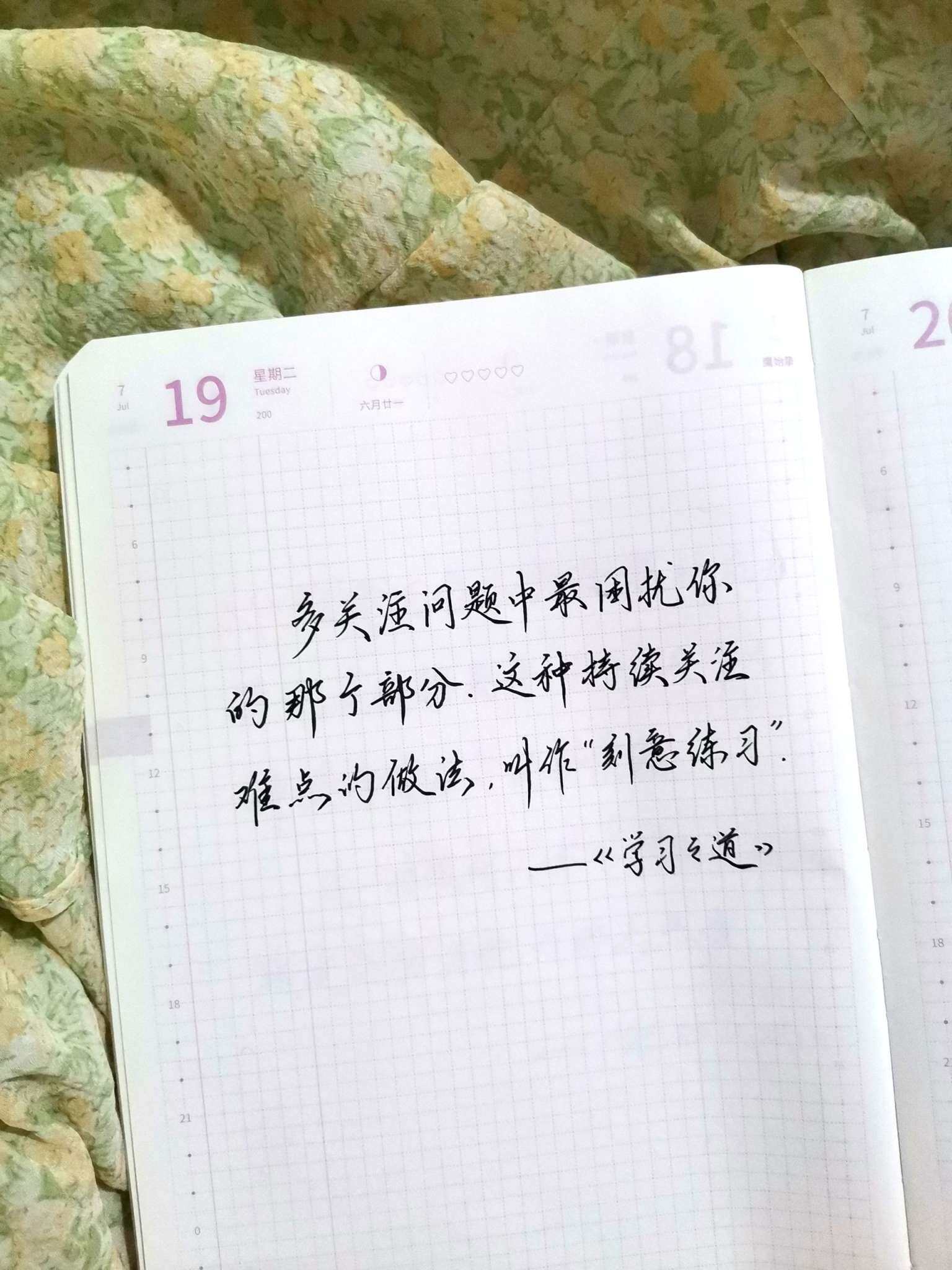 自在手帐2022年7月19日