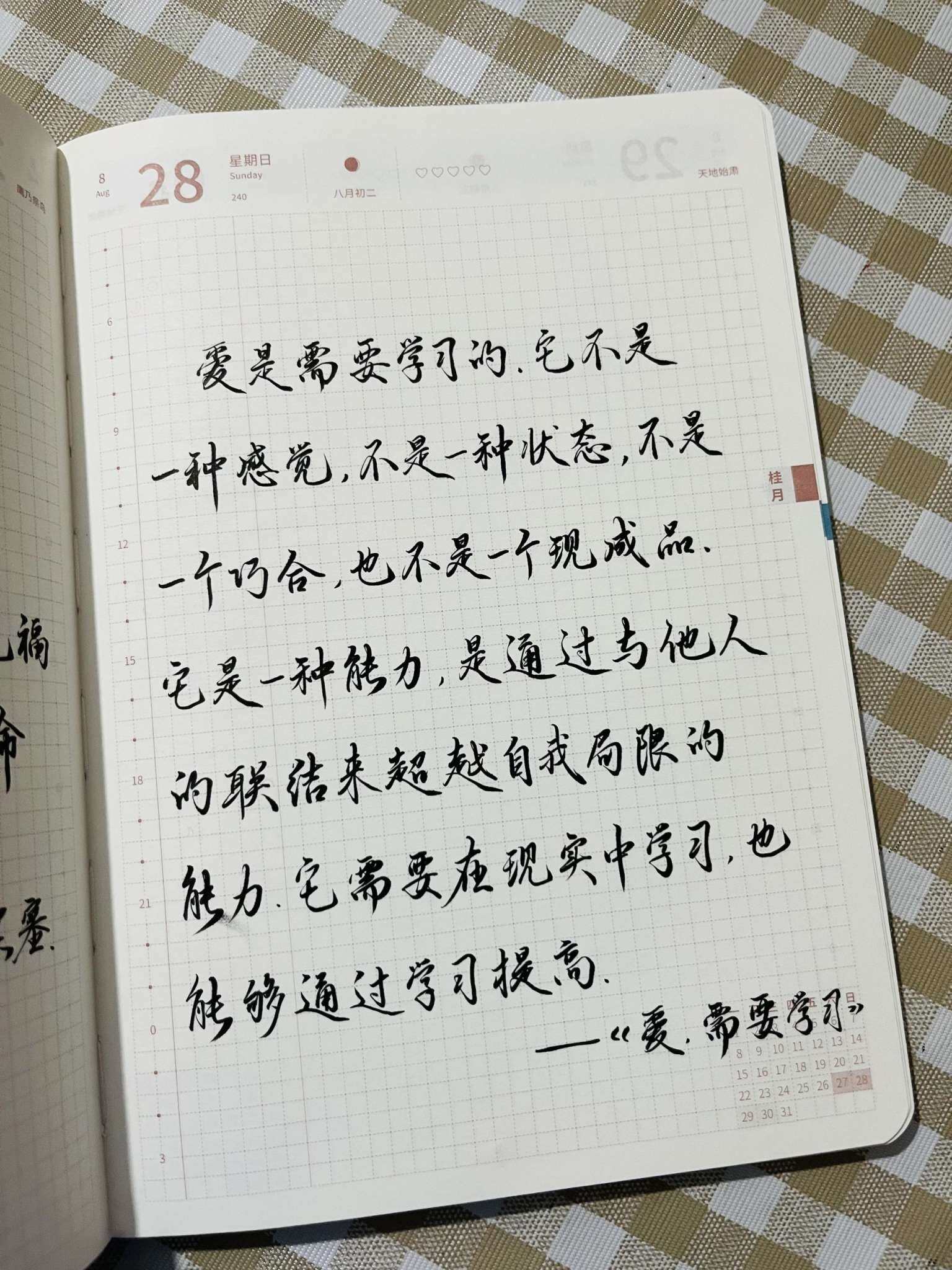 自在手帐2022年8月28日