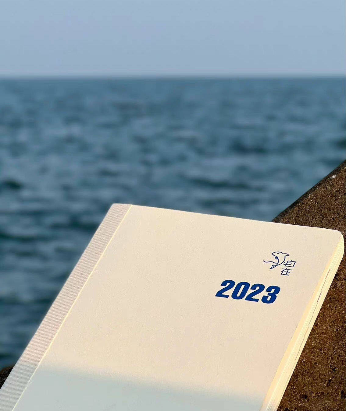 自在手帐2023试笔合集