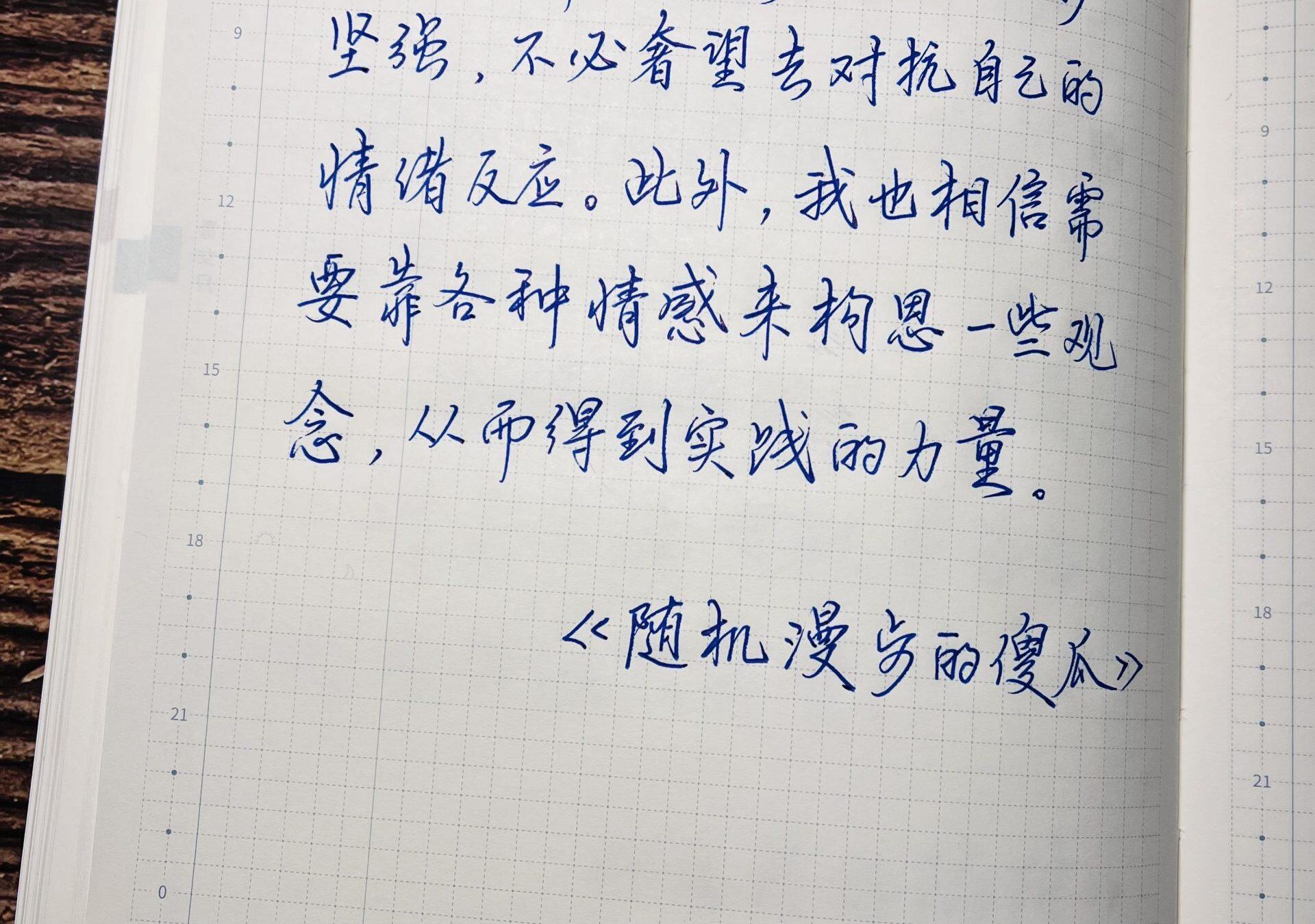 随机漫步的傻瓜