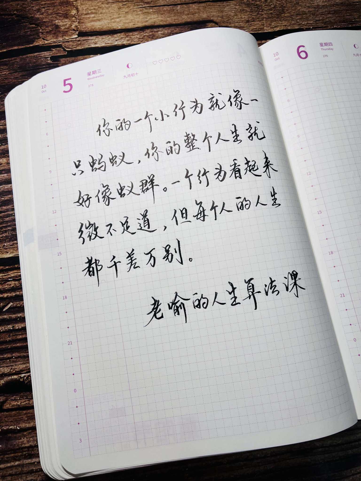 自在手帐2022年10月5日