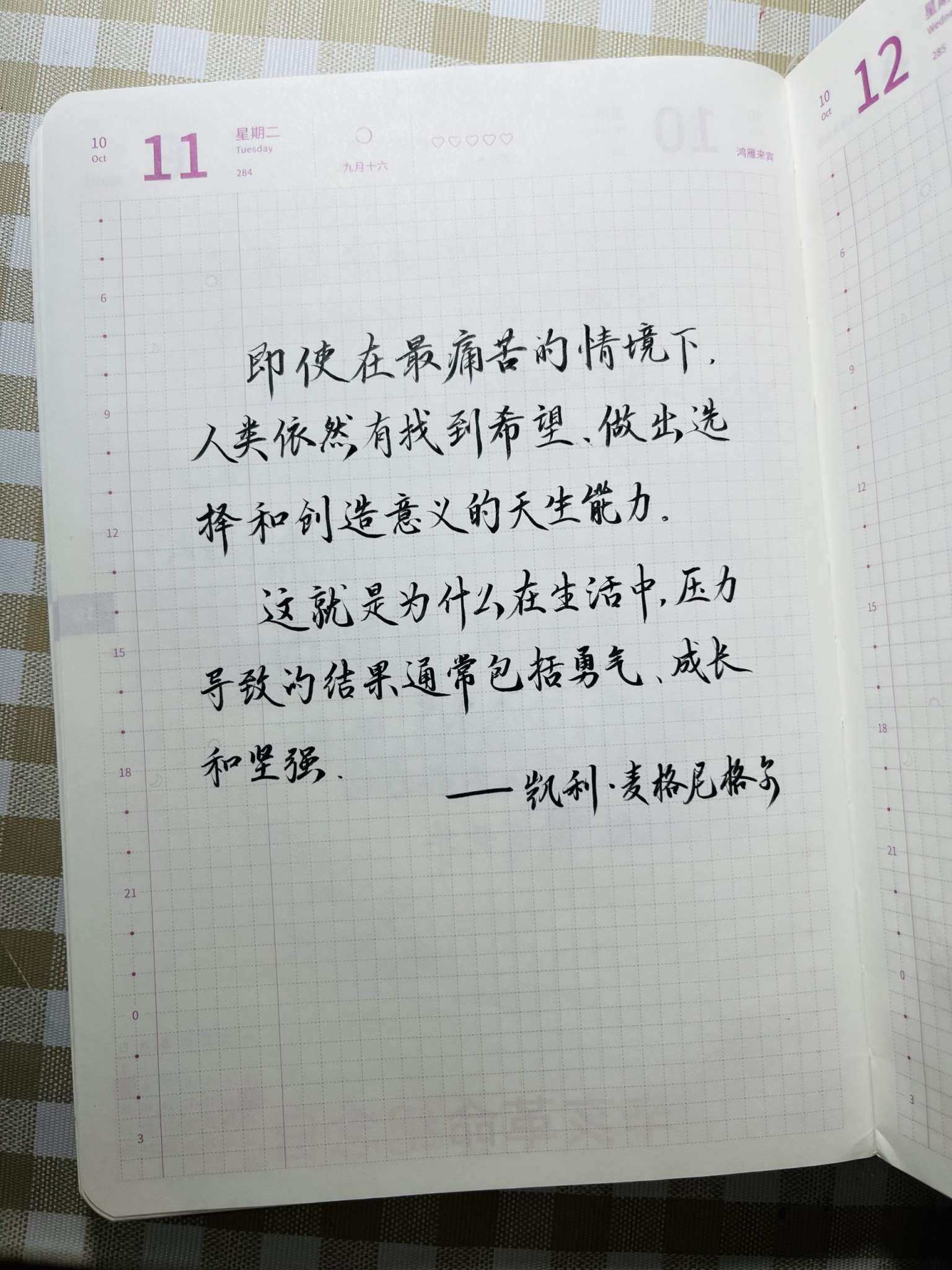 自在手帐2022年10月11日