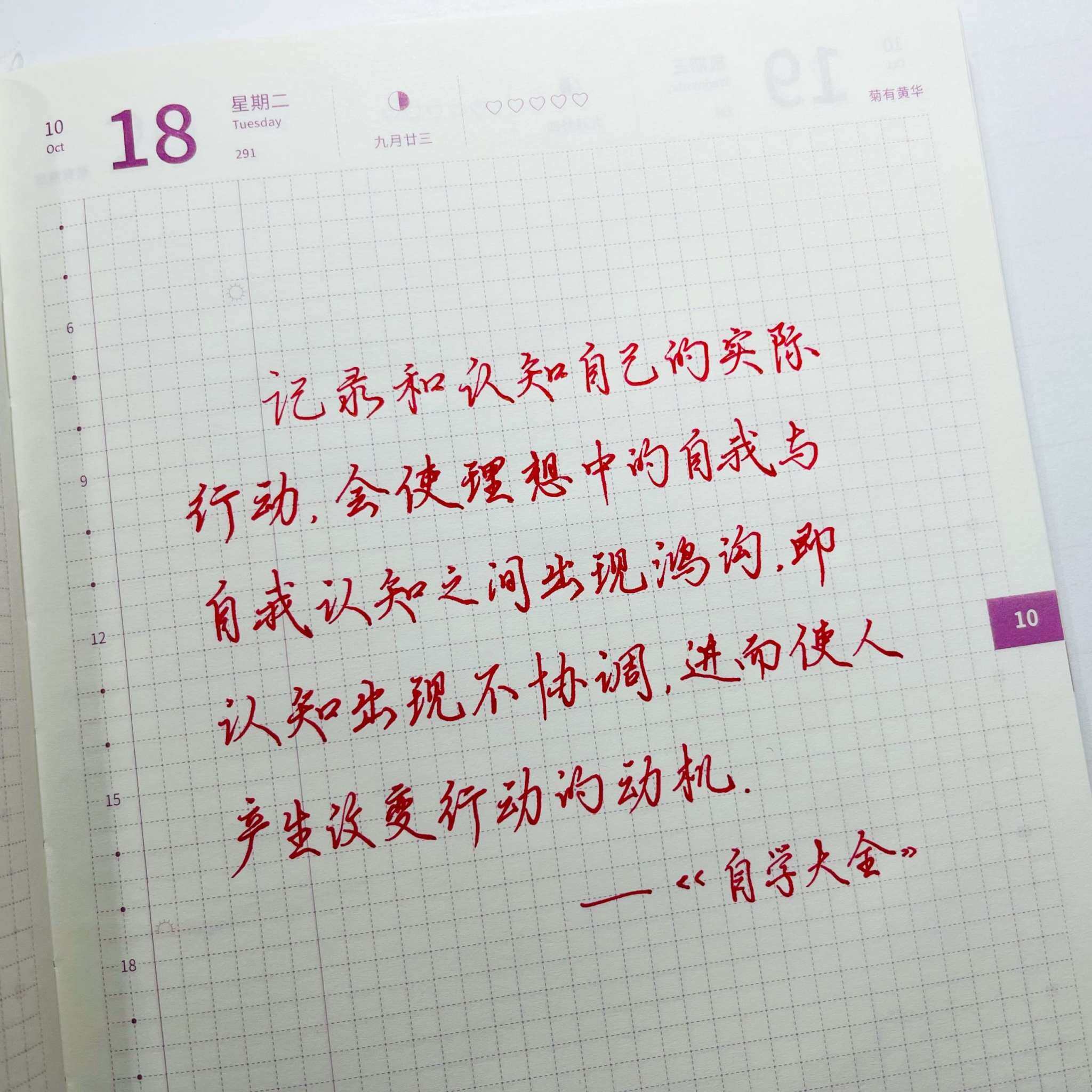 自在手帐2022年10月18日