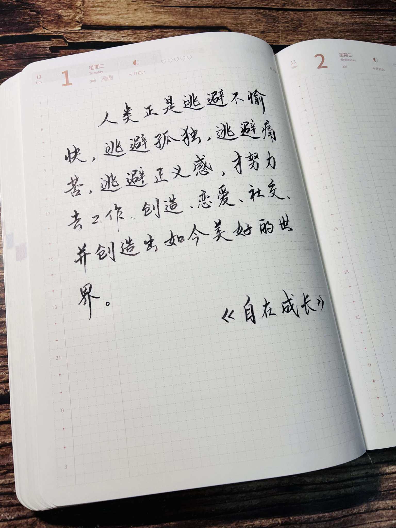自在手帐2022年11月1日
