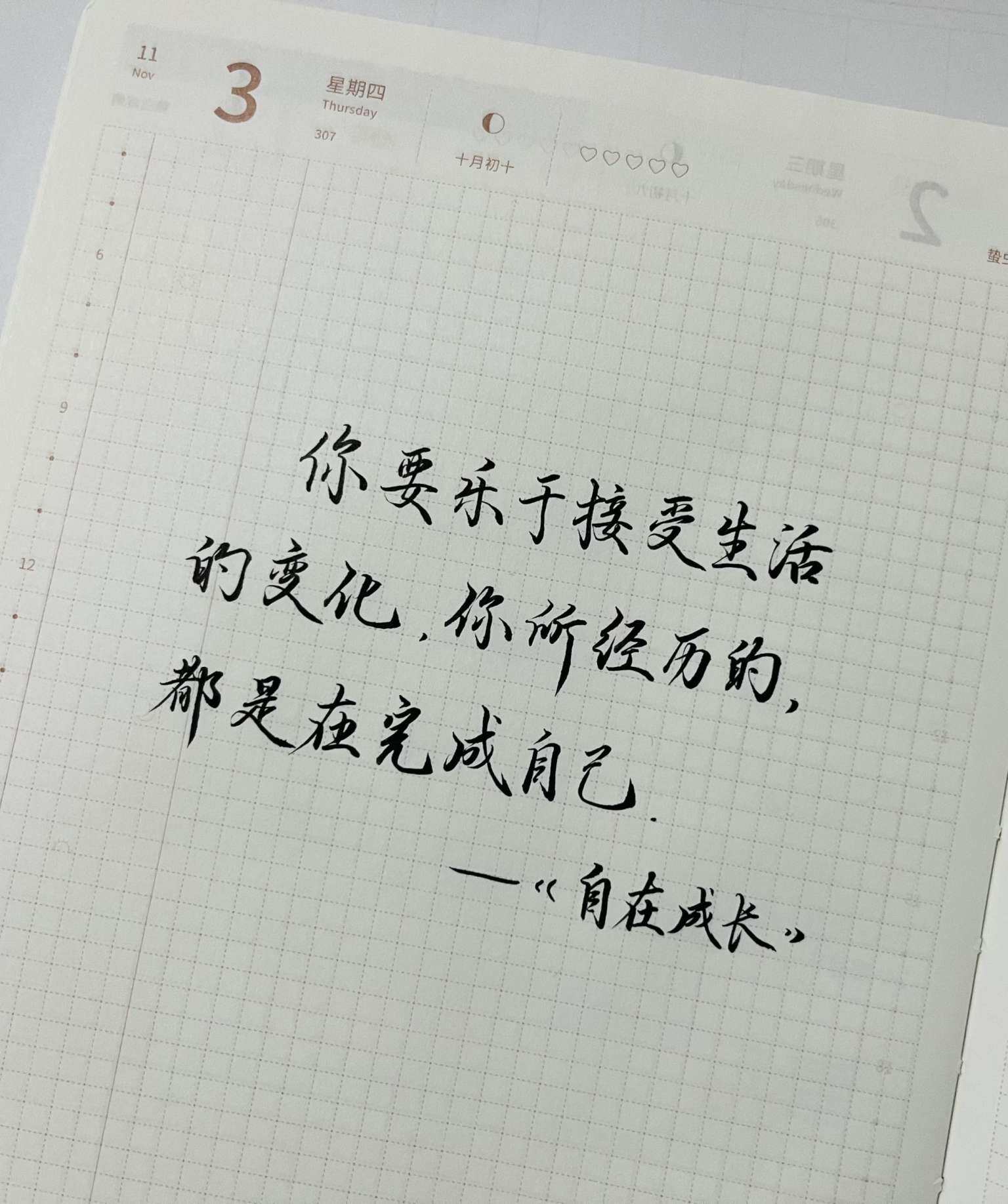 自在手帐2022年11月3日