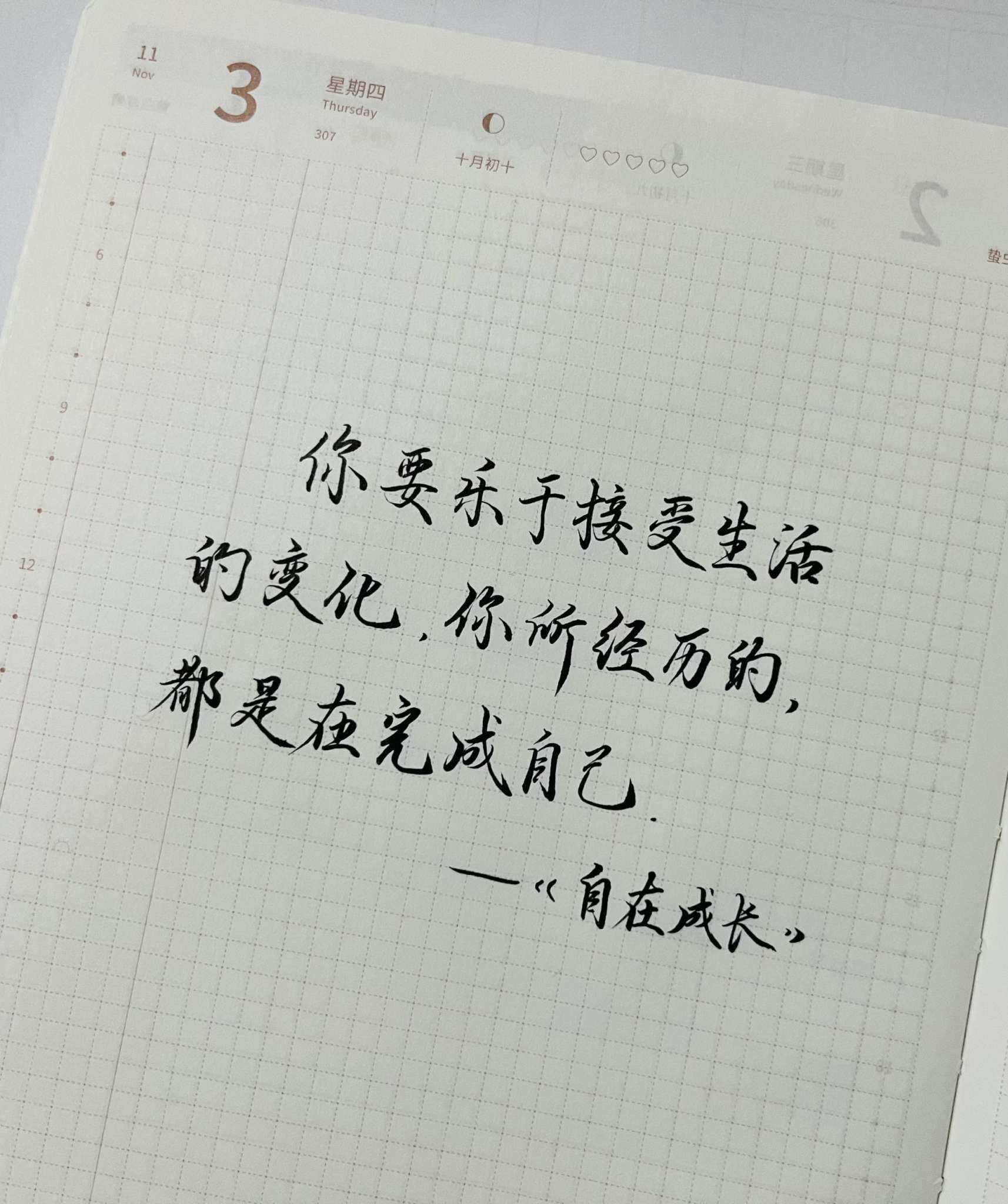 自在手帐2022年11月3日