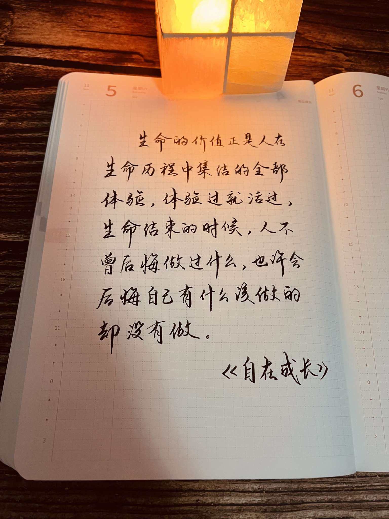 自在手帐2022年11月5日