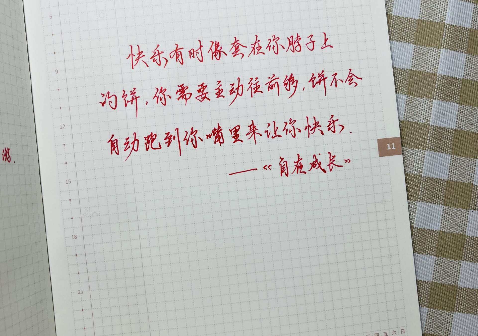 自在手帐2022年11月8日