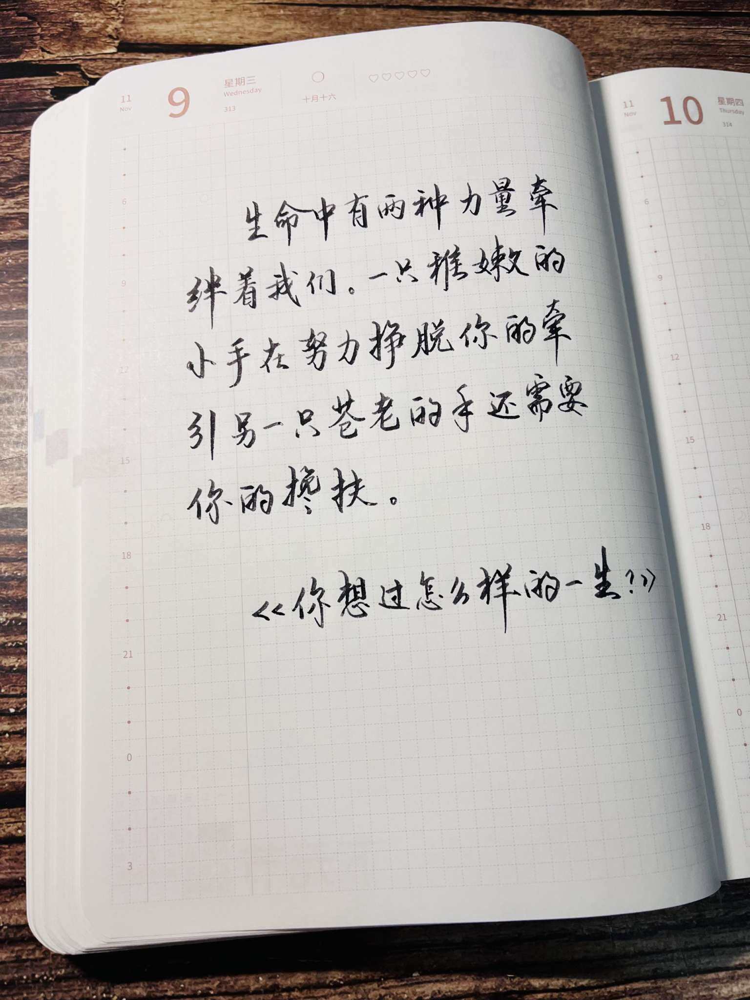 自在手帐2022年11月9日