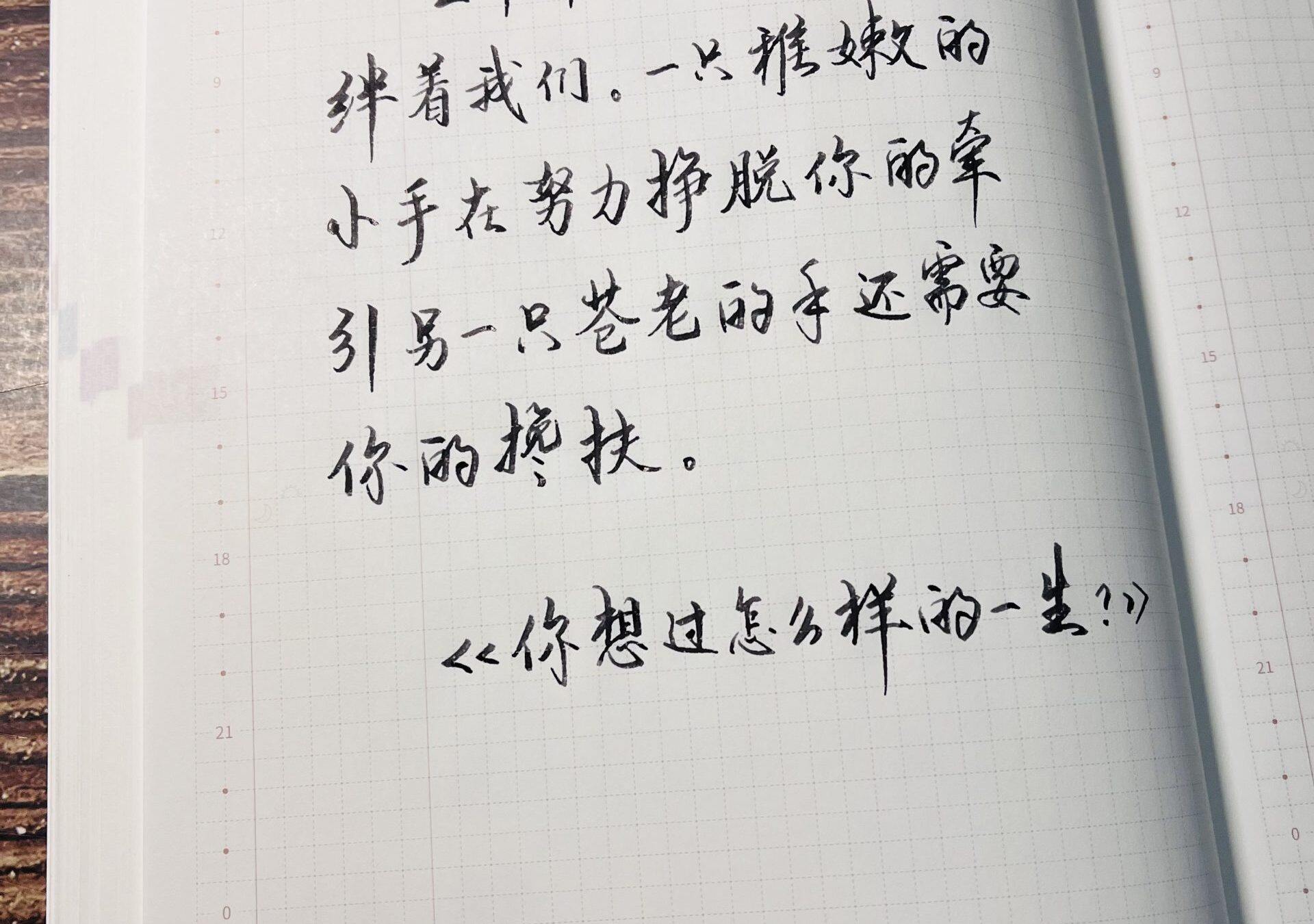 自在手帐2022年11月9日