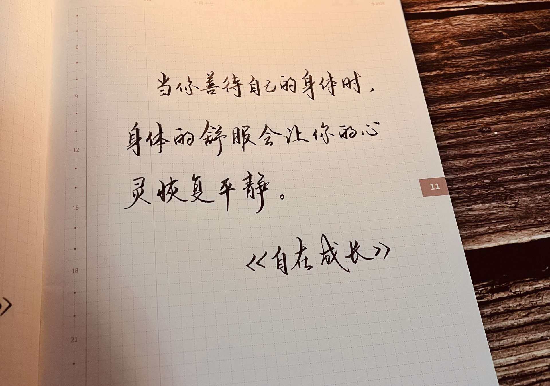 自在手帐2022年11月10日