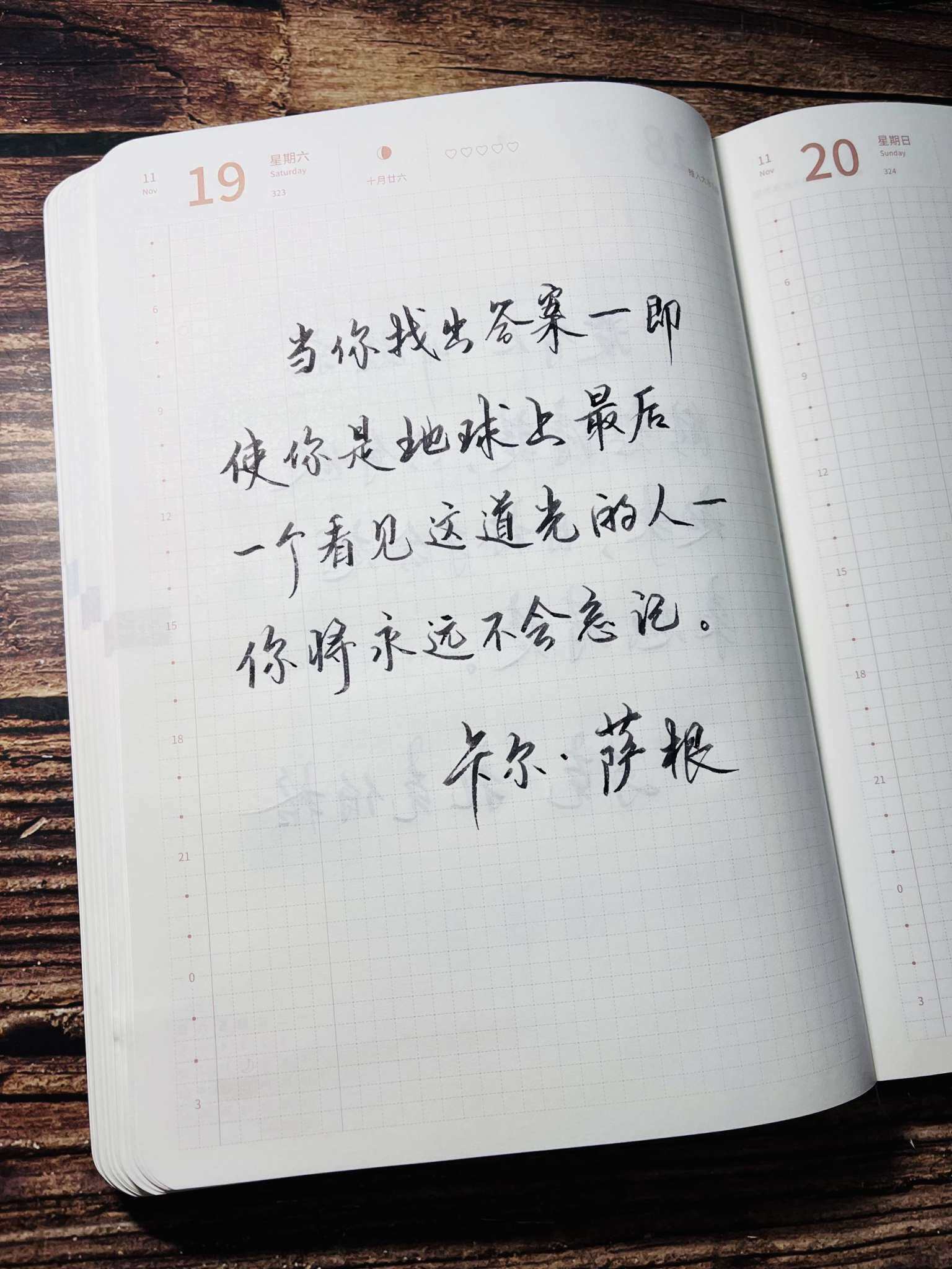自在手帐2022年11月19日