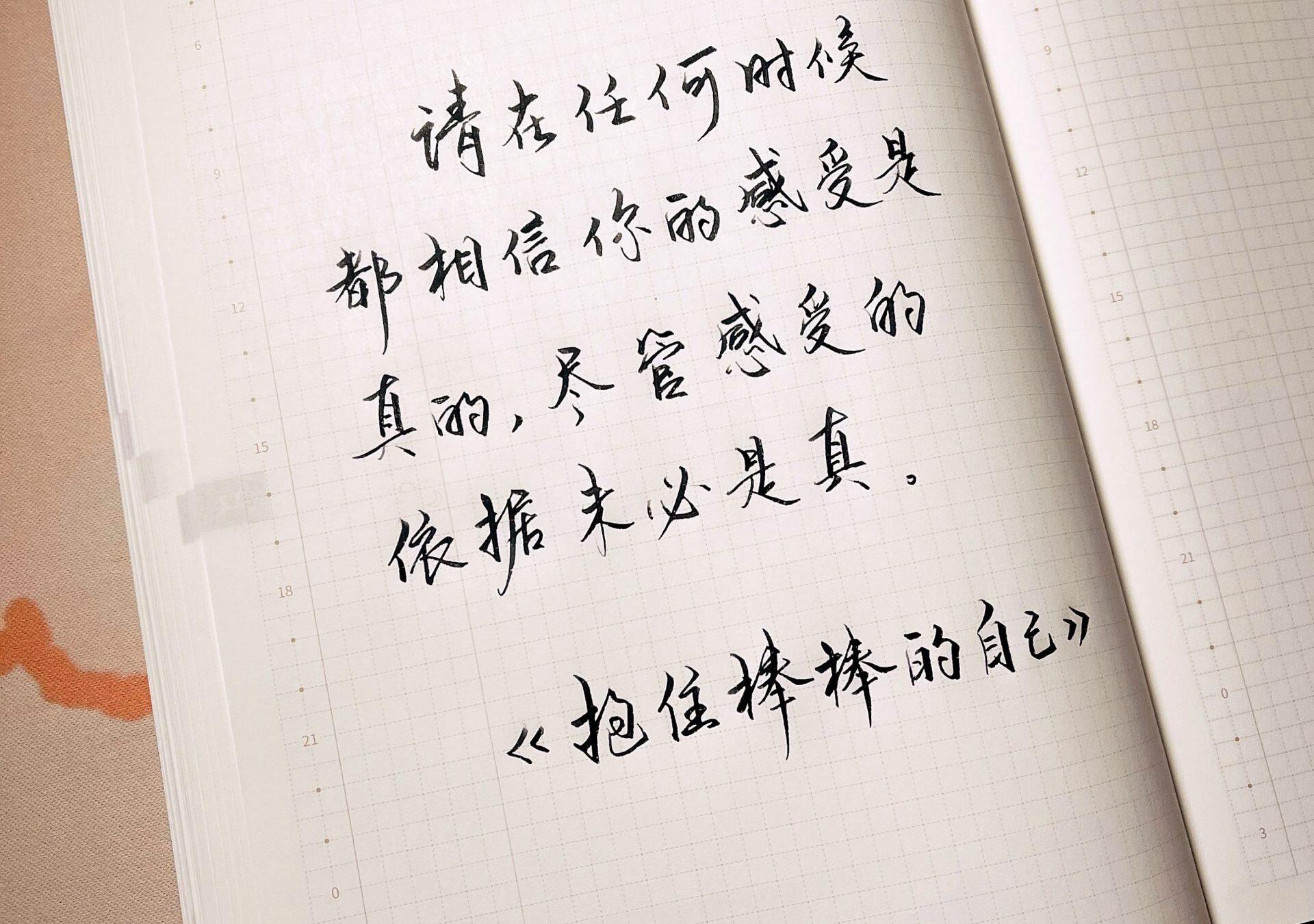 抱住棒棒的自己