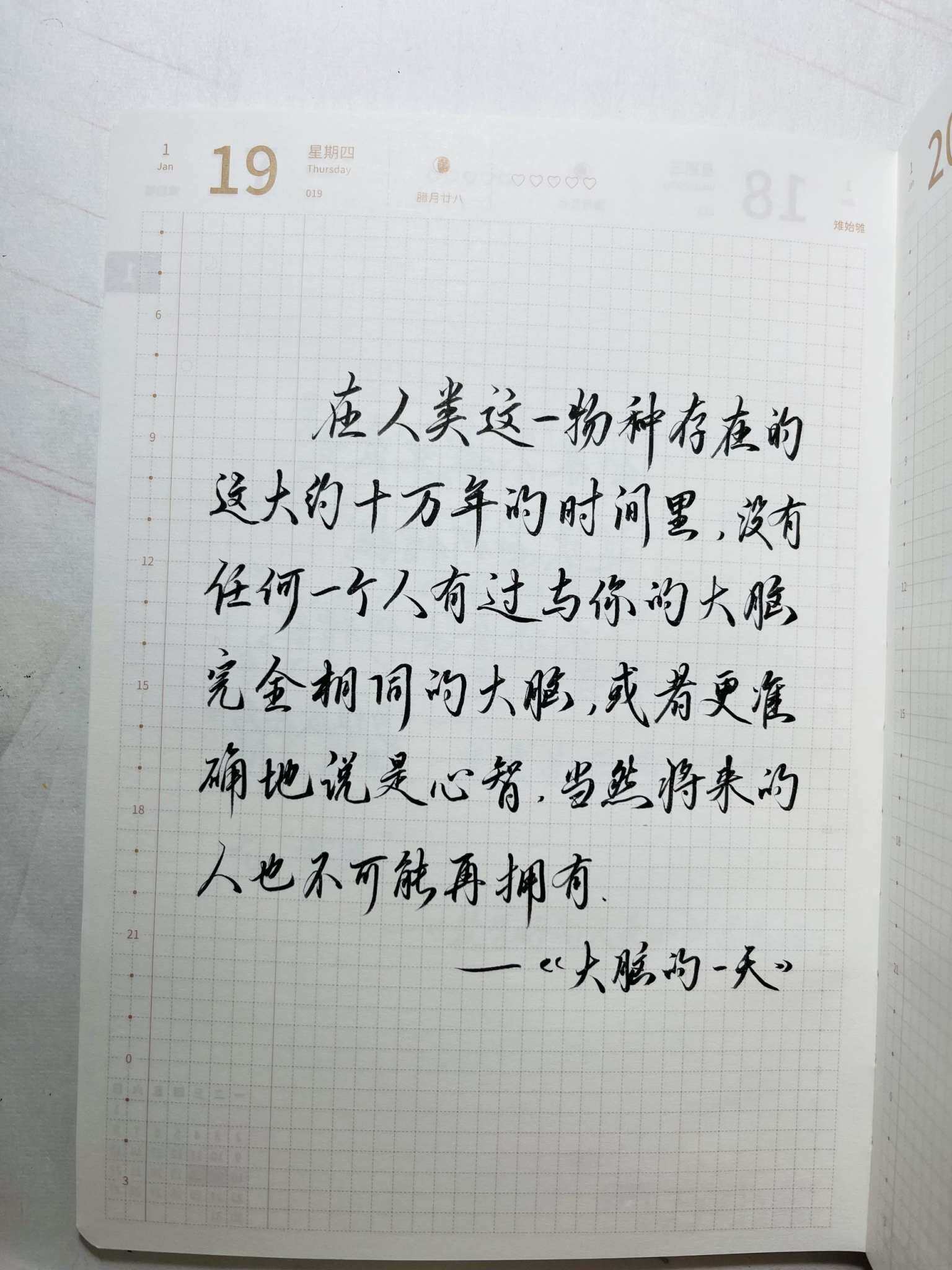自在手帐2023年1月19日