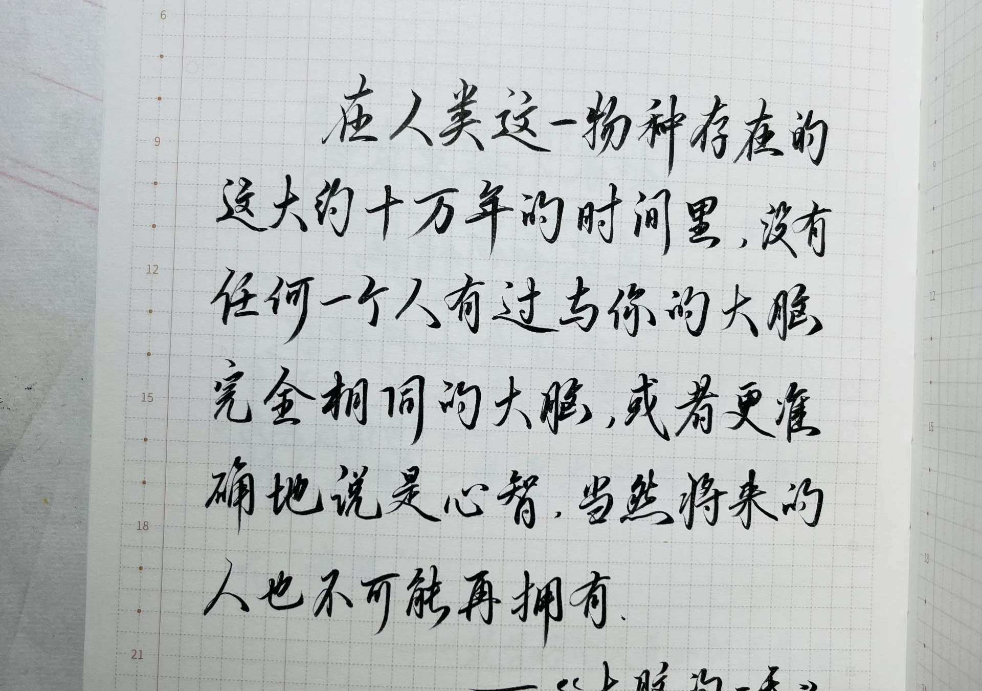 大脑的一天