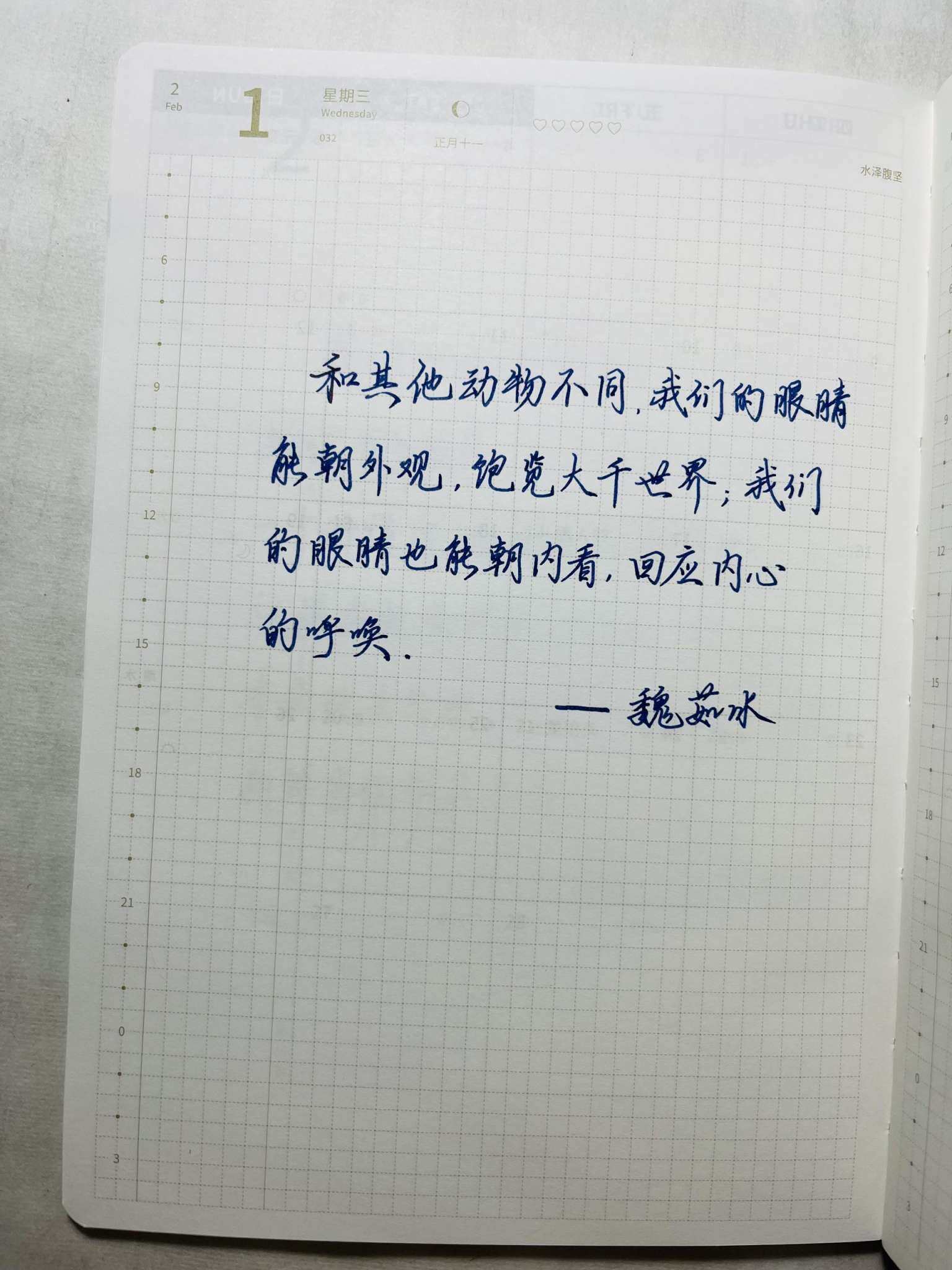 自在手帐2023年2月1日