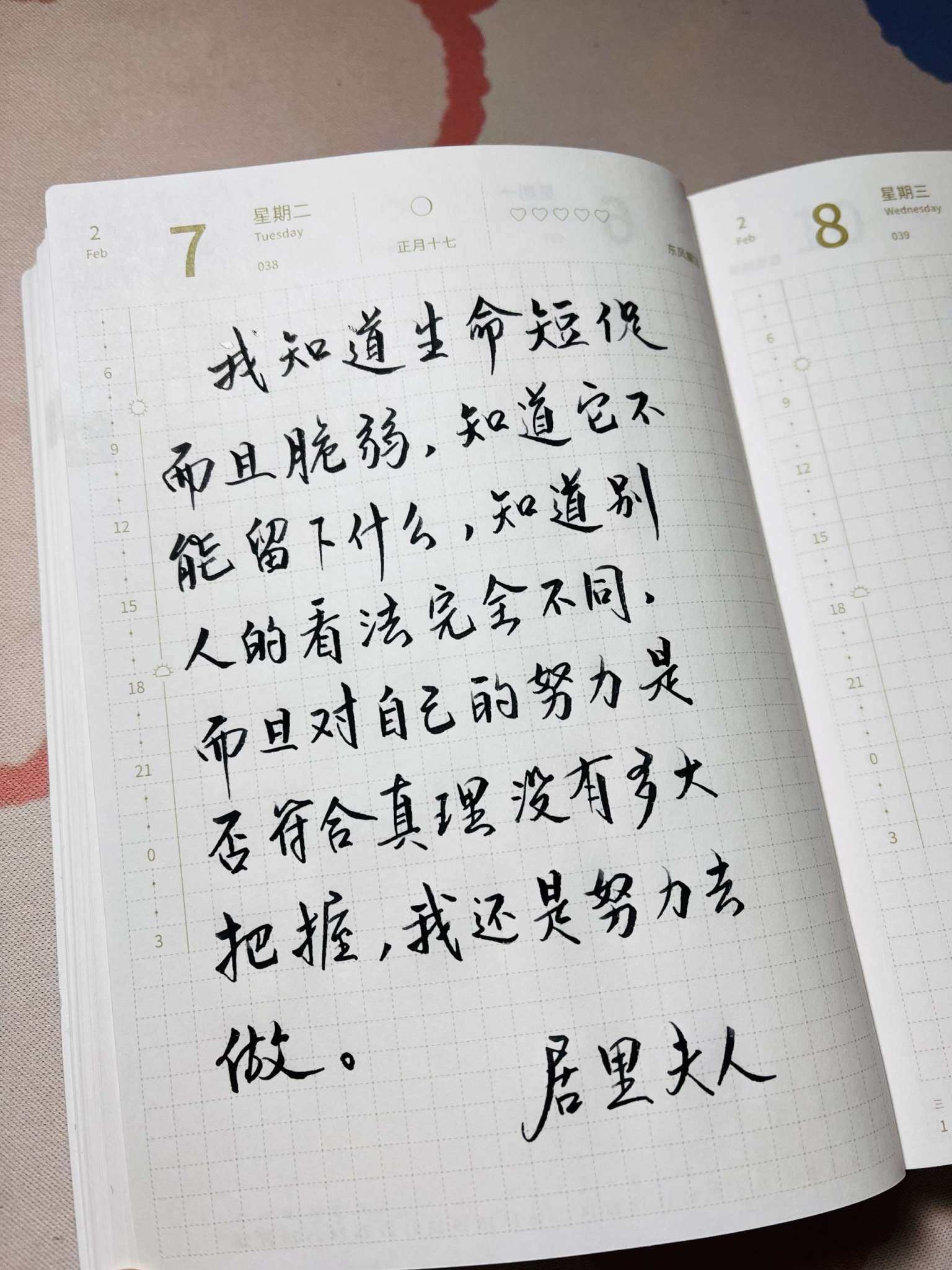自在手帐2023年2月7日