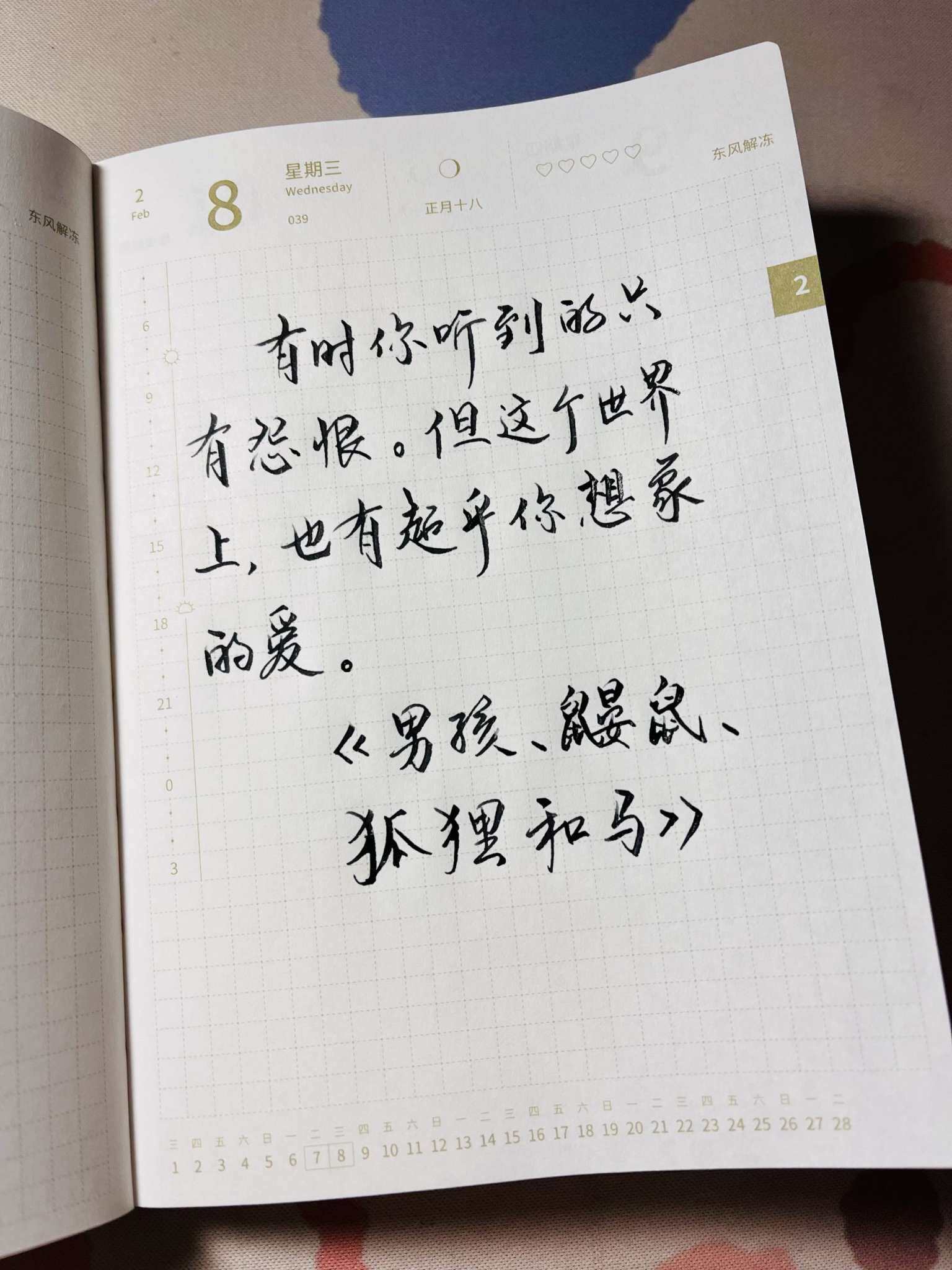 自在手帐2023年2月8日