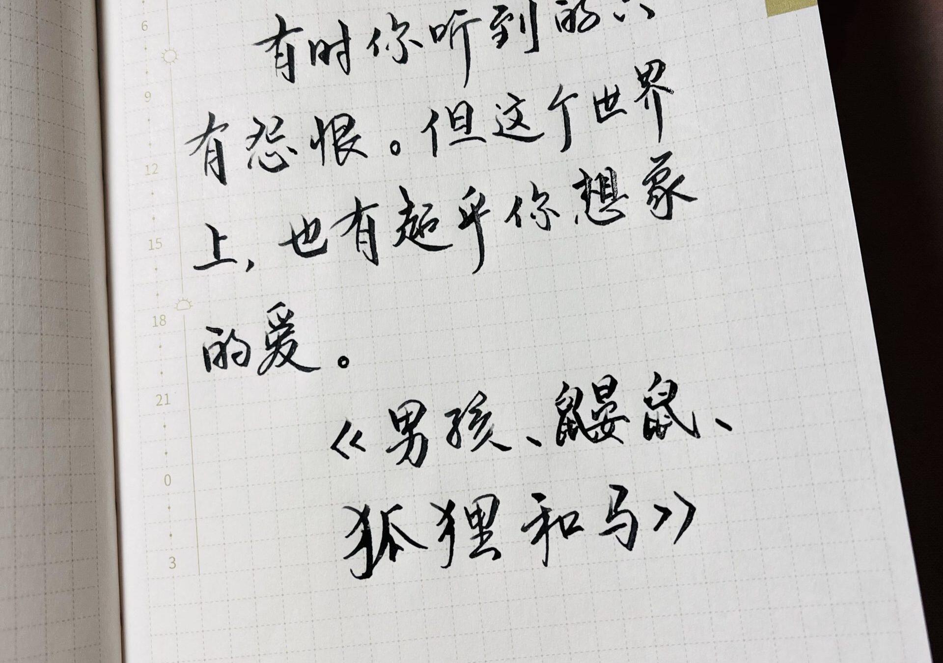 超乎你想象的爱