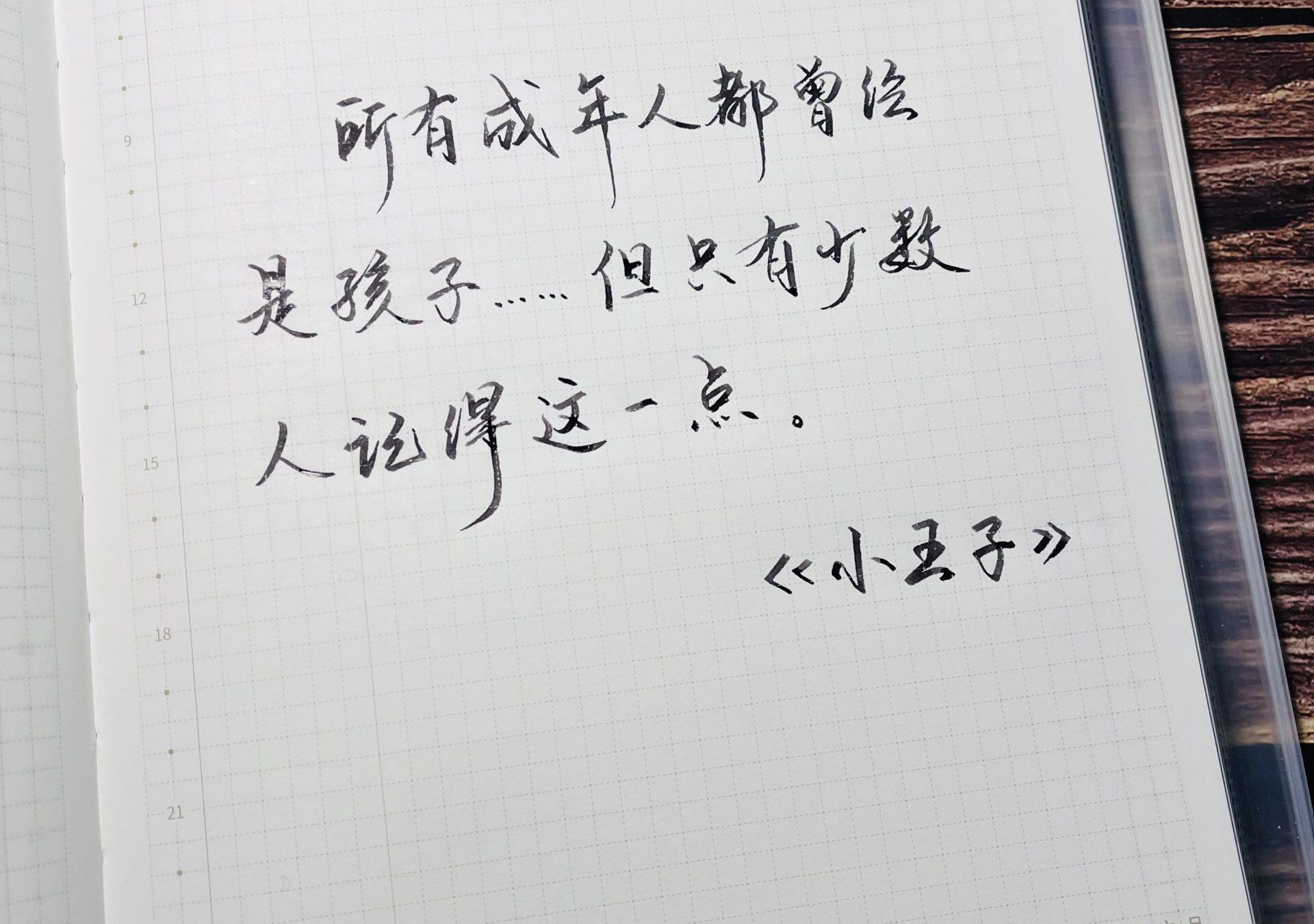 所有成年人都曾经是孩子……