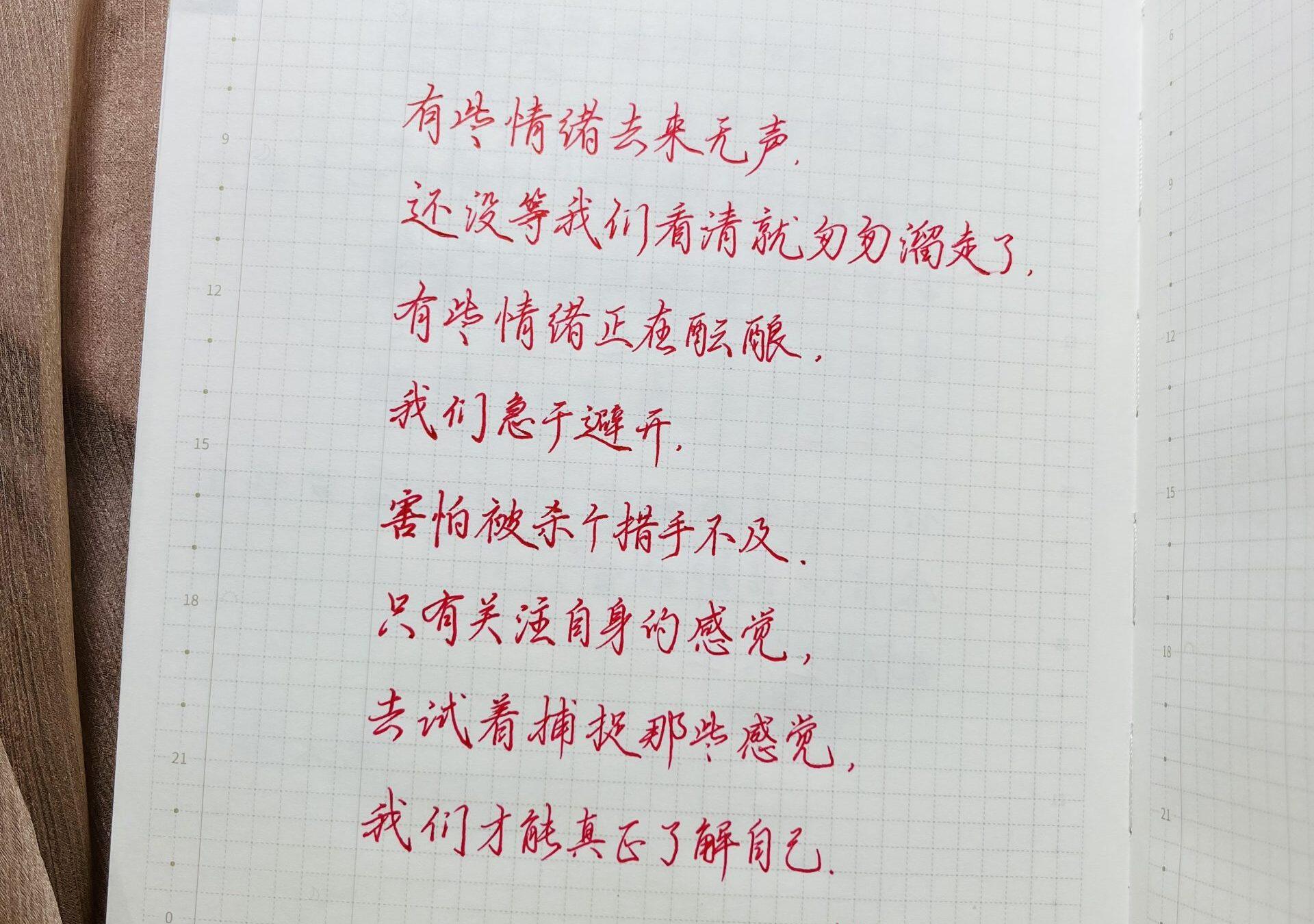 自在手帐2023年2月25日