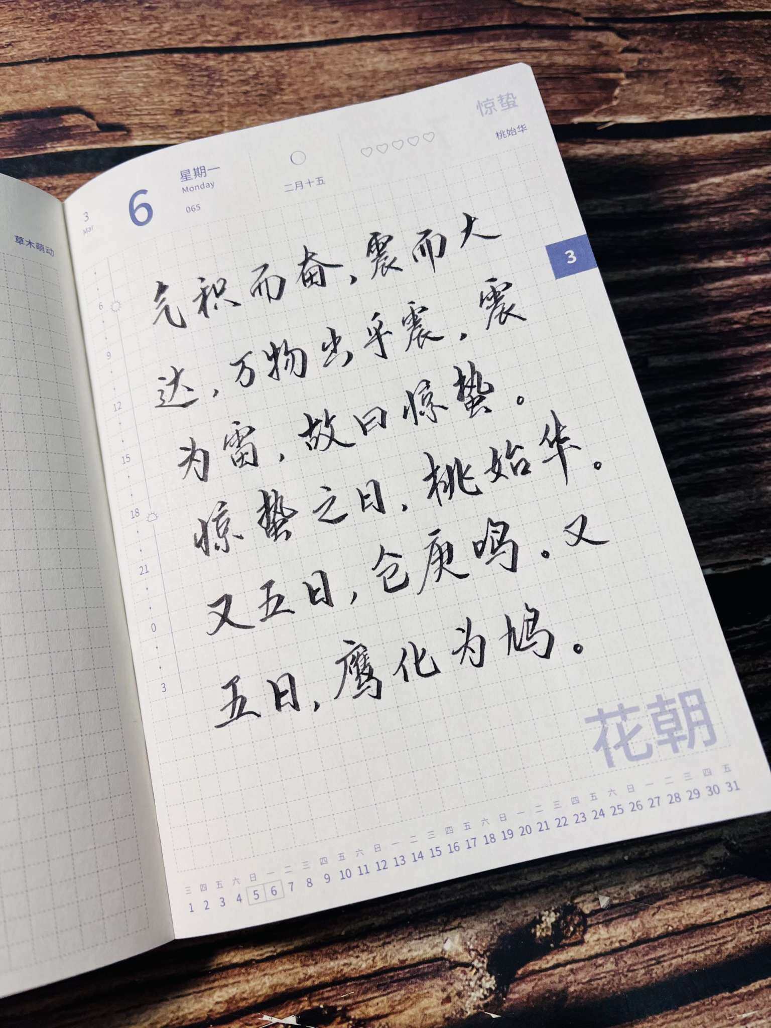 自在手帐2023年3月6日