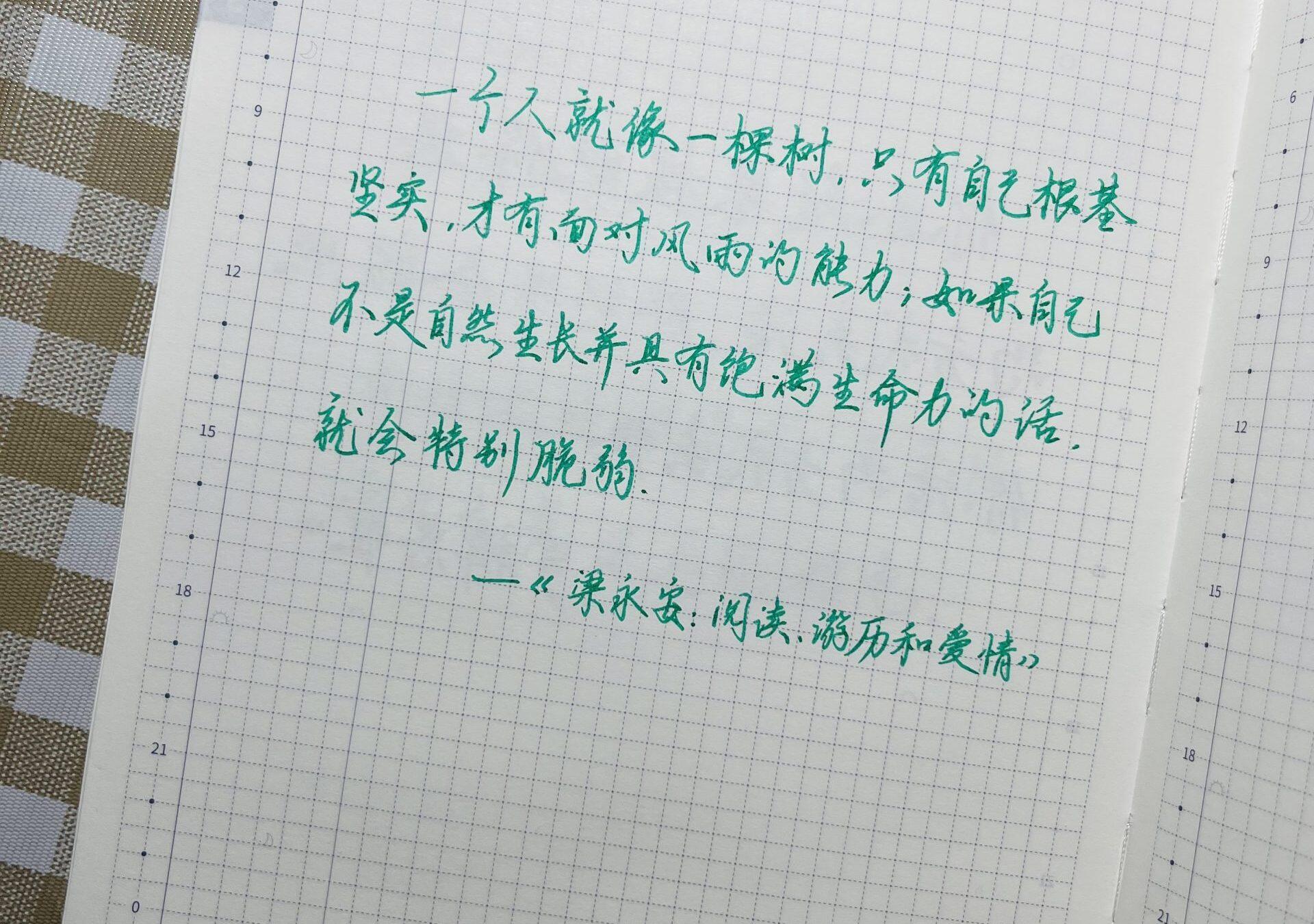 坚实自己的根基