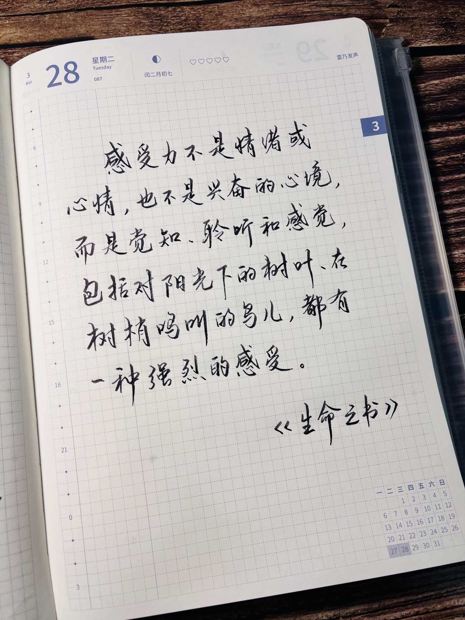 自在手帐2023年3月28日